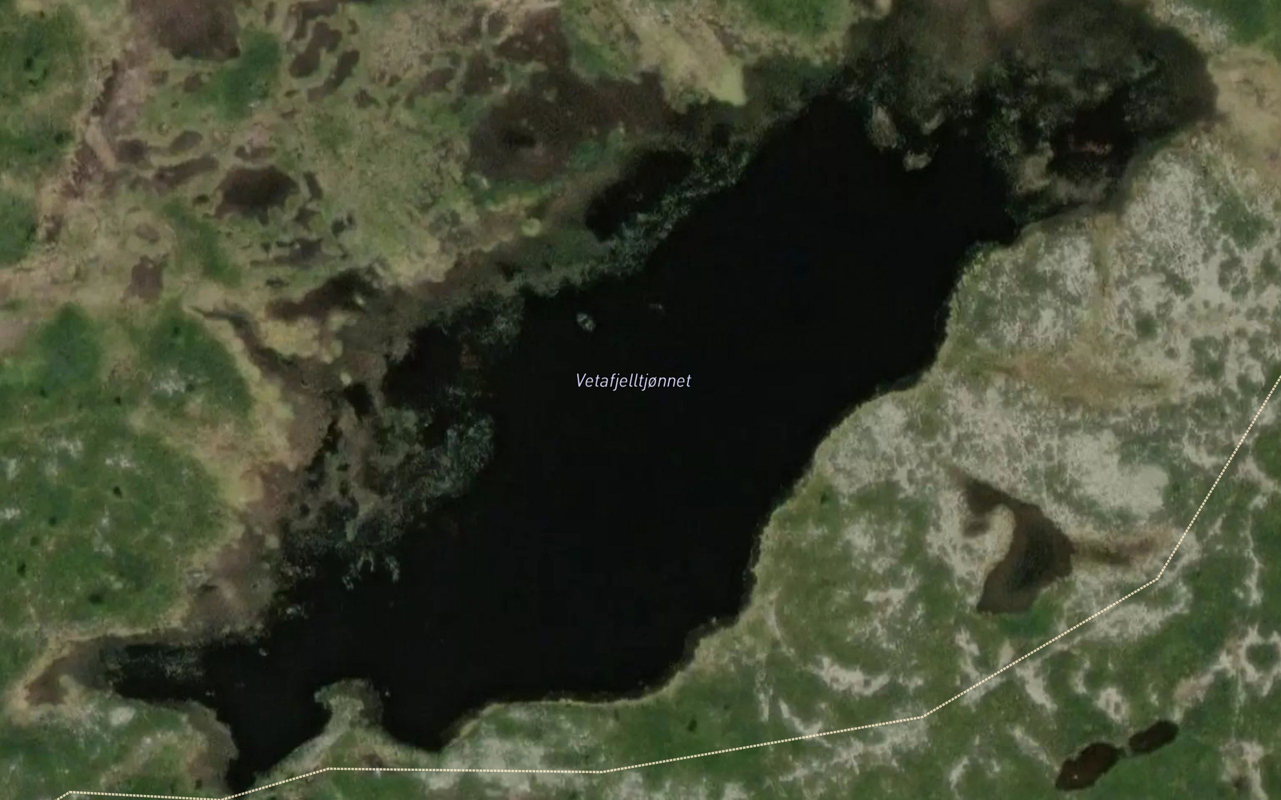 Vetafjelltjornet