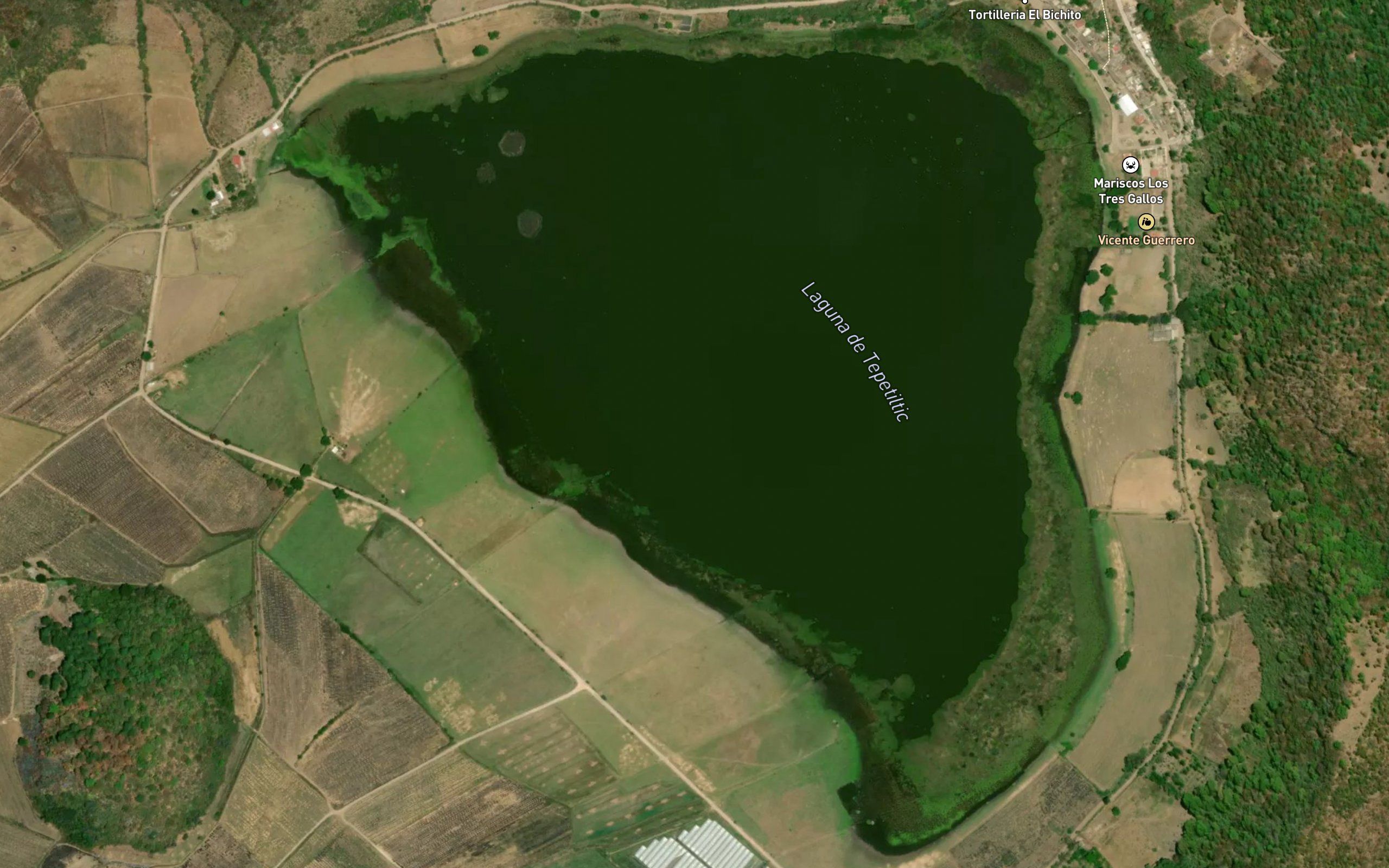 Laguna de Tepetiltic