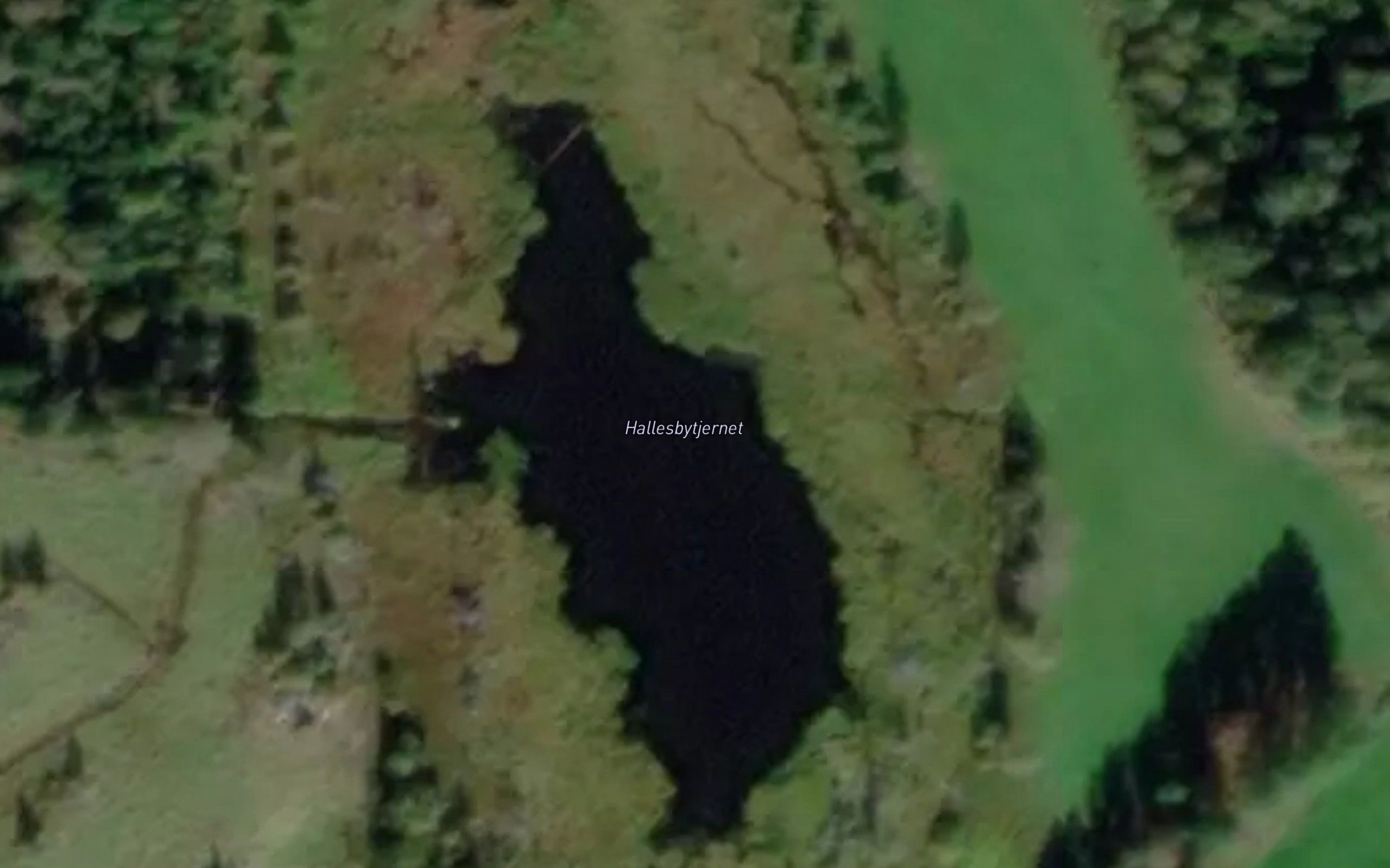 Hallesbytjernet