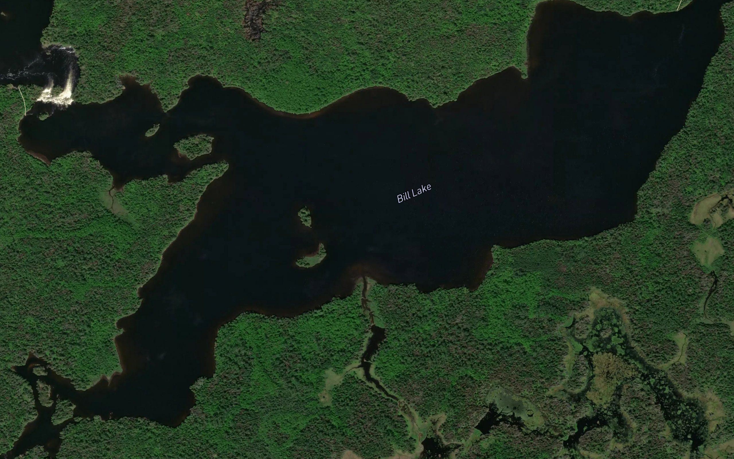 Bill Lake