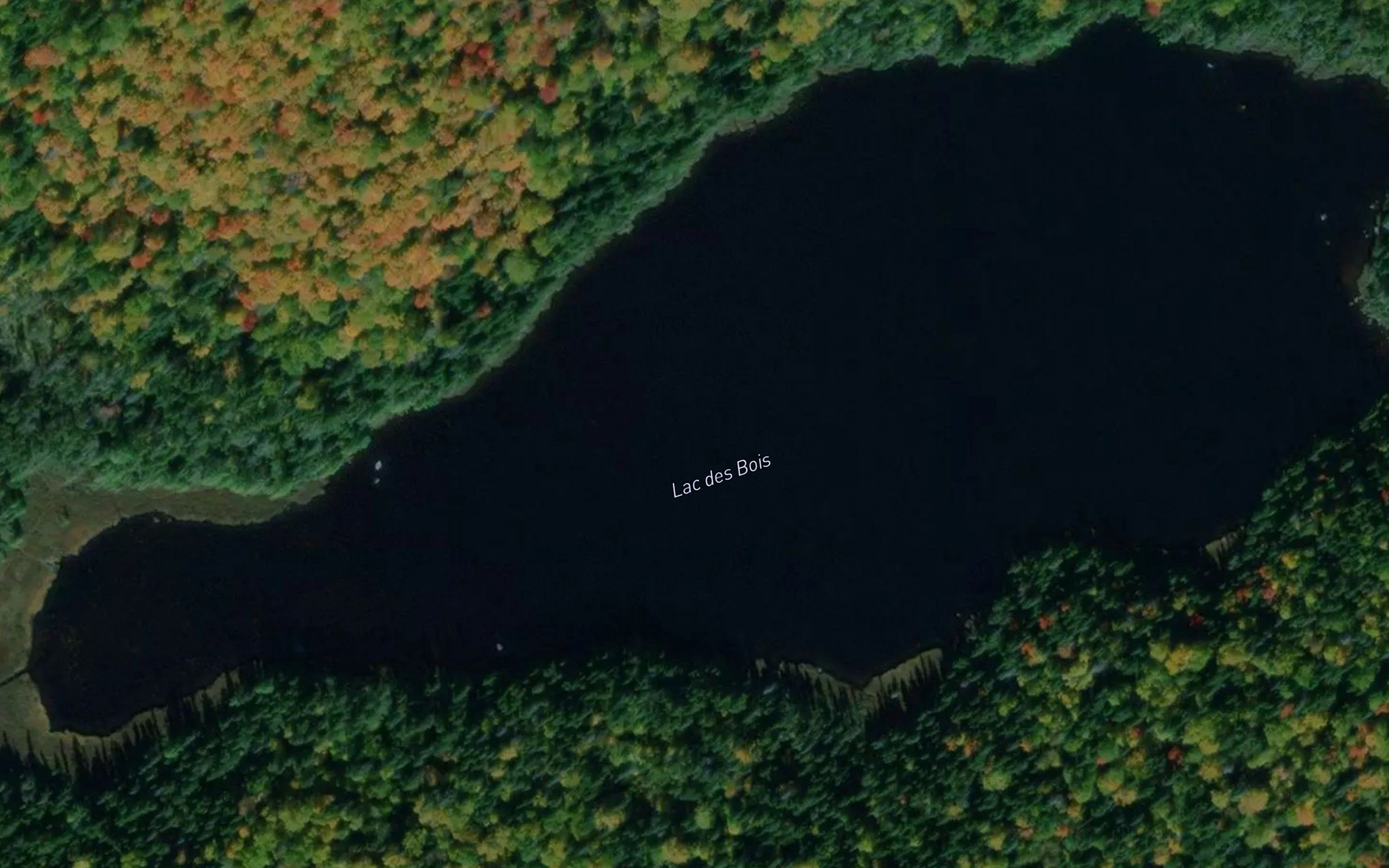 Lac Bob