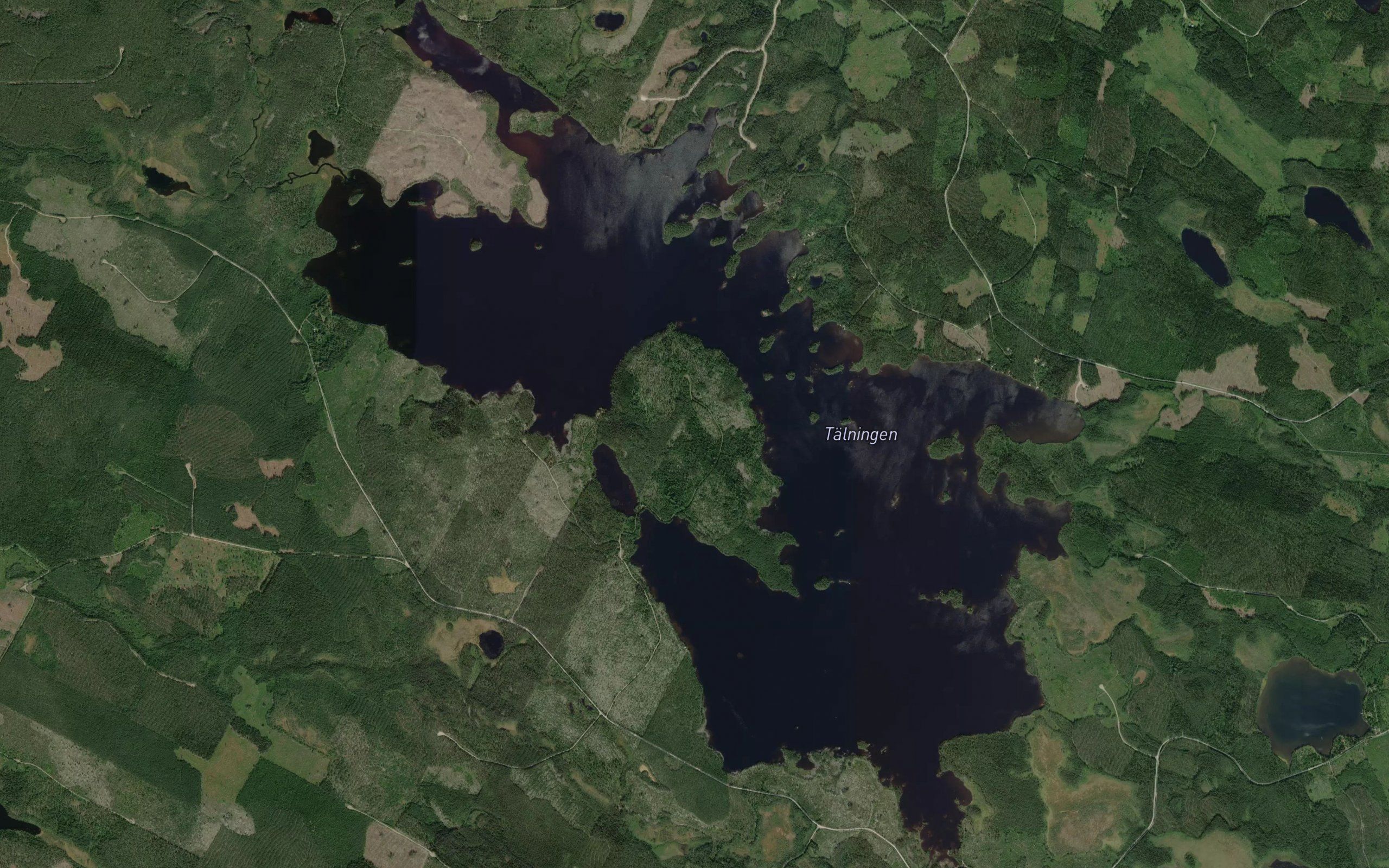 Talningen