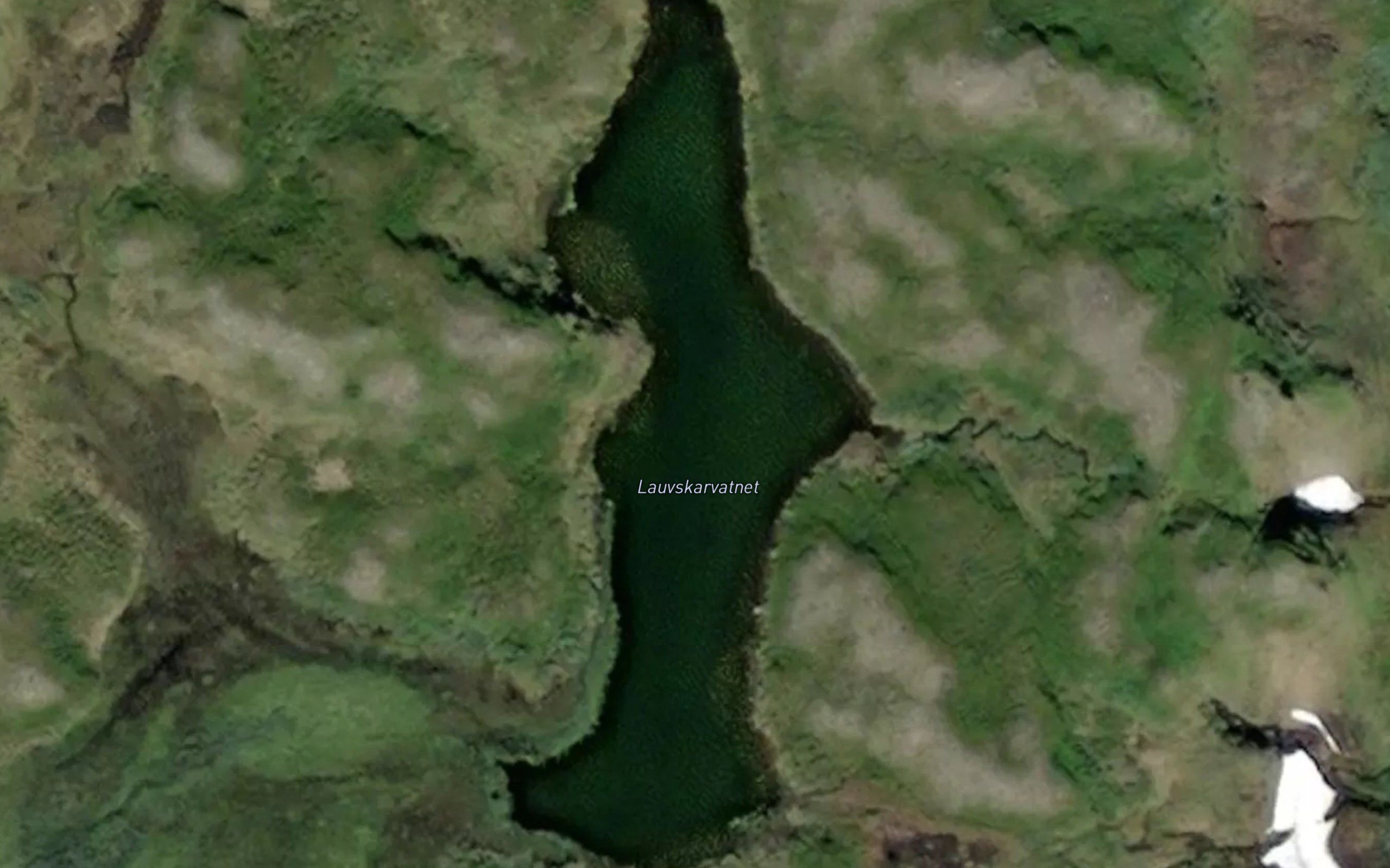 Lauvskardvatnet