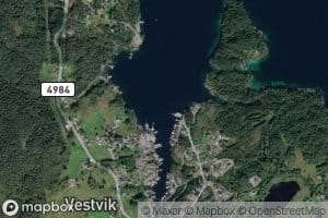 Glasmarkarvika