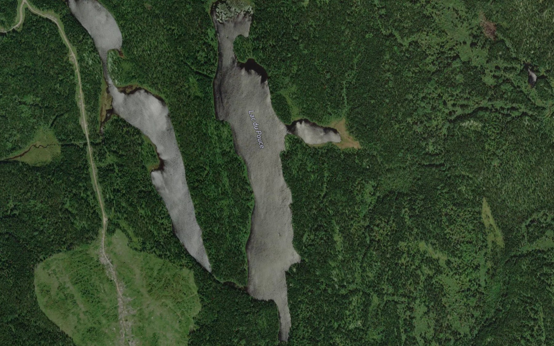 Satellite map of the Lac du Pouce