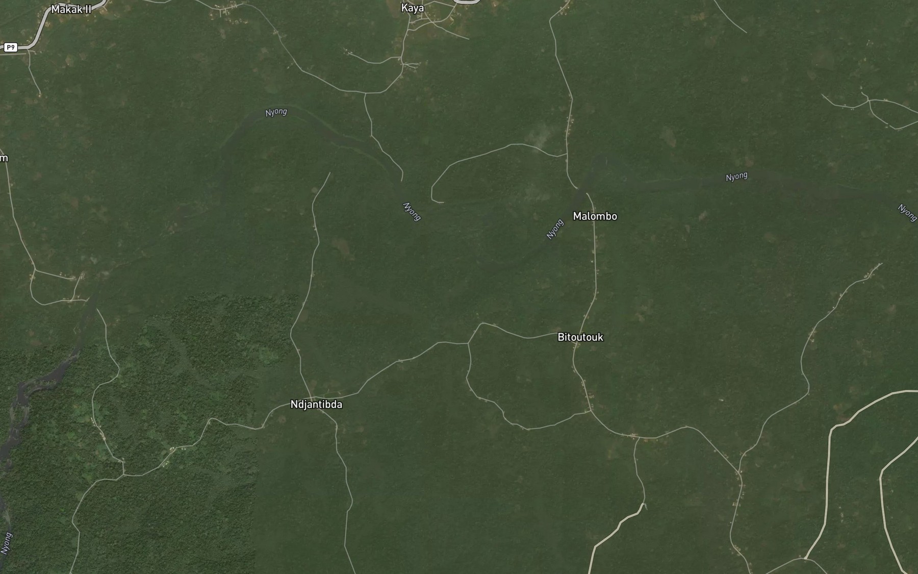 Satellite map of the Ngon