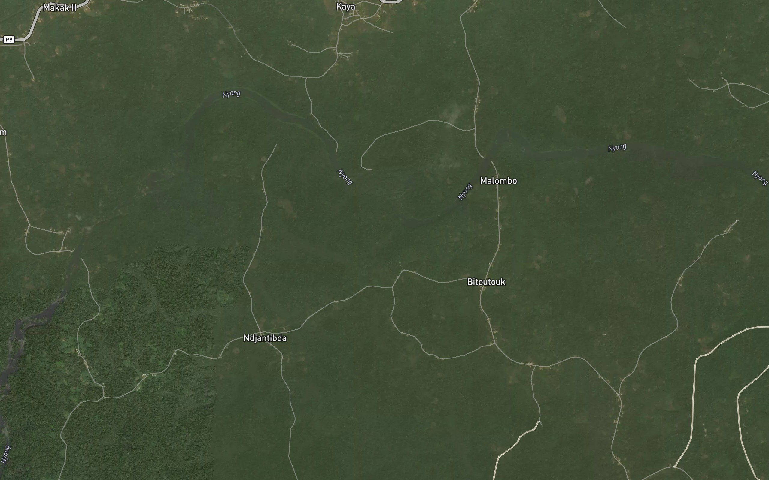 Ngon