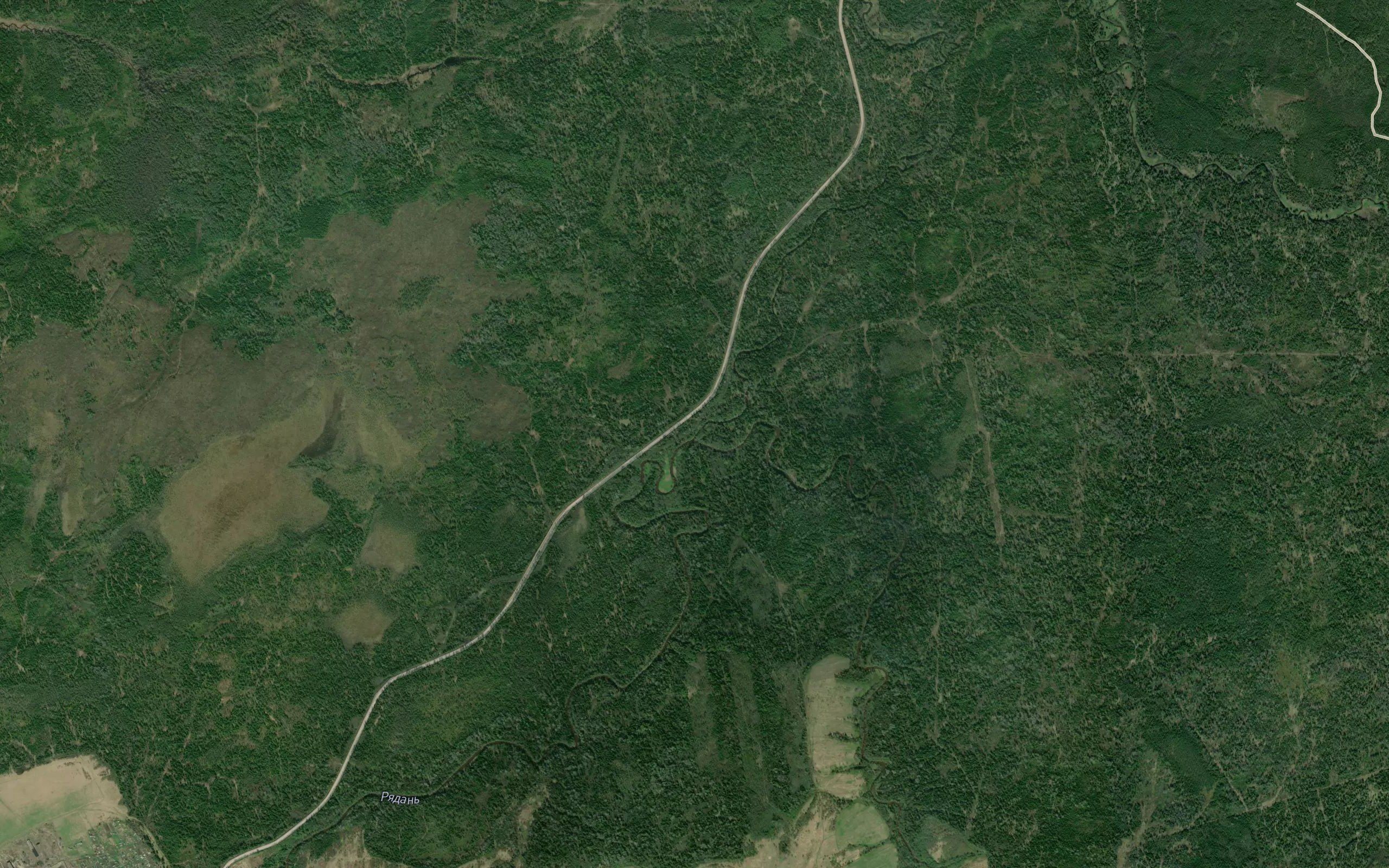 Belaya