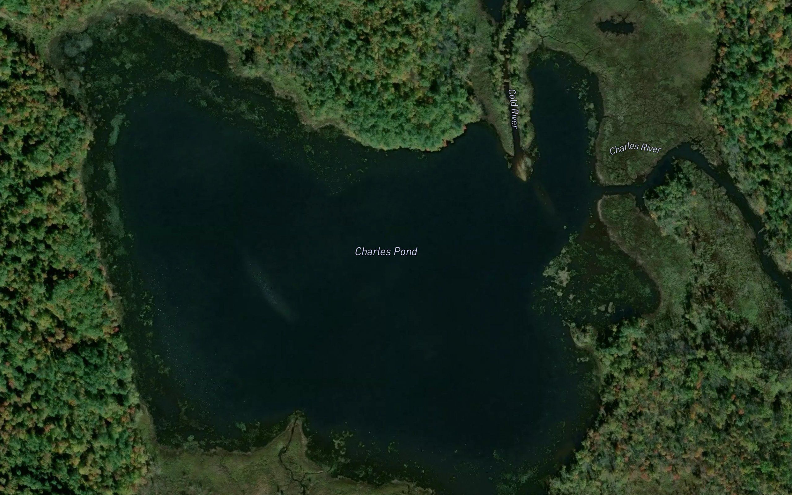 Charles Pond