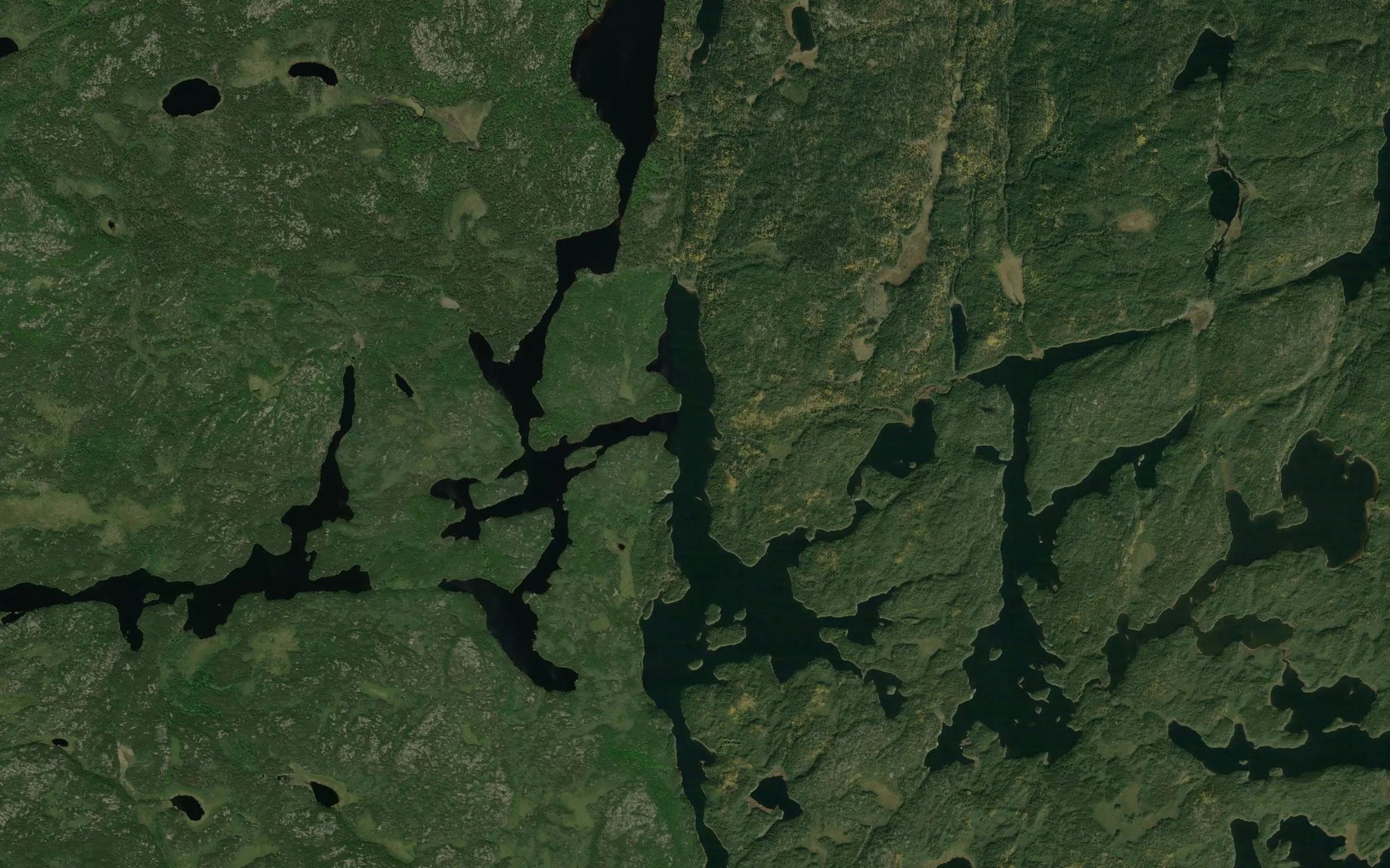 Satellite map of the Davies Lake