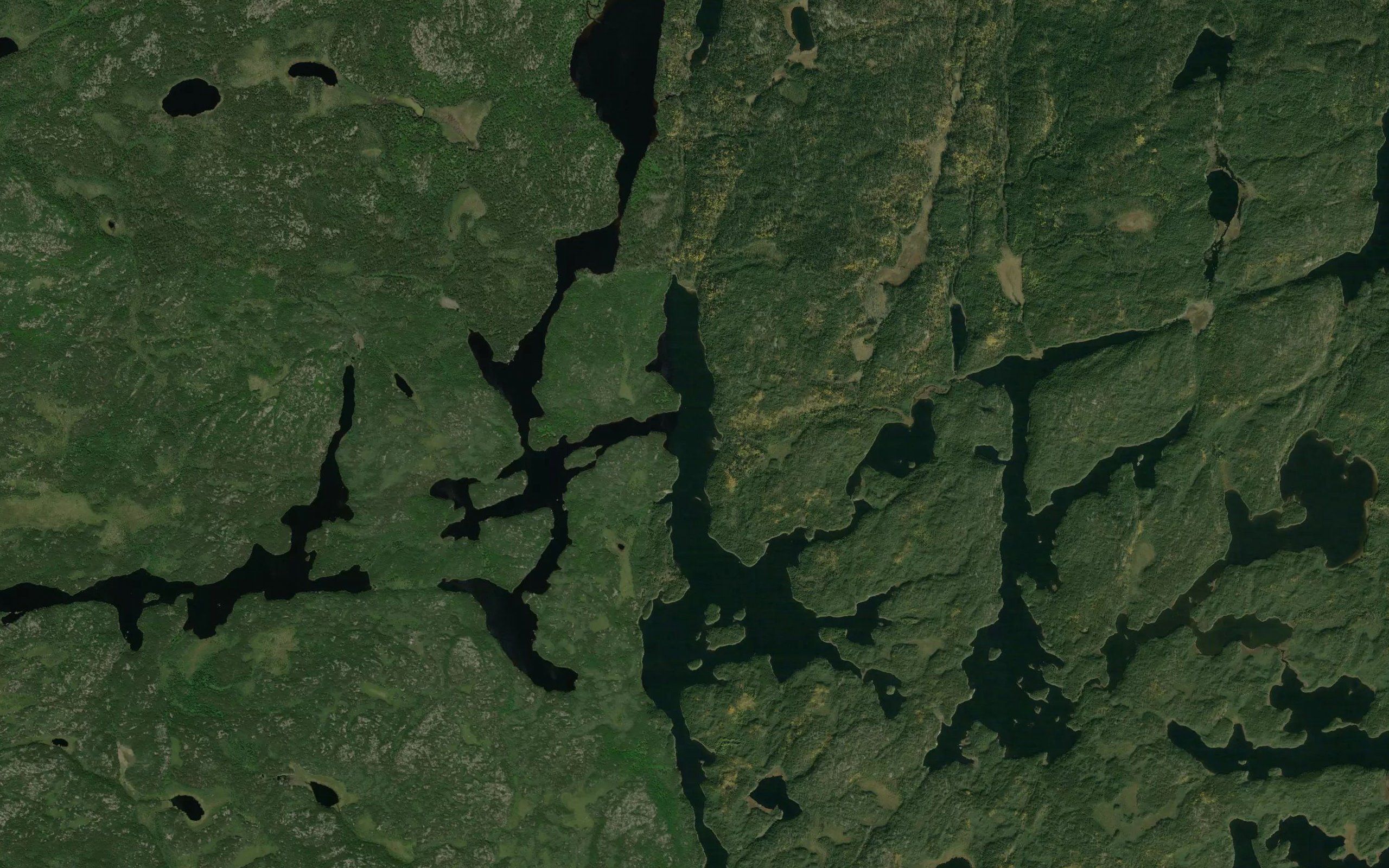 Davies Lake