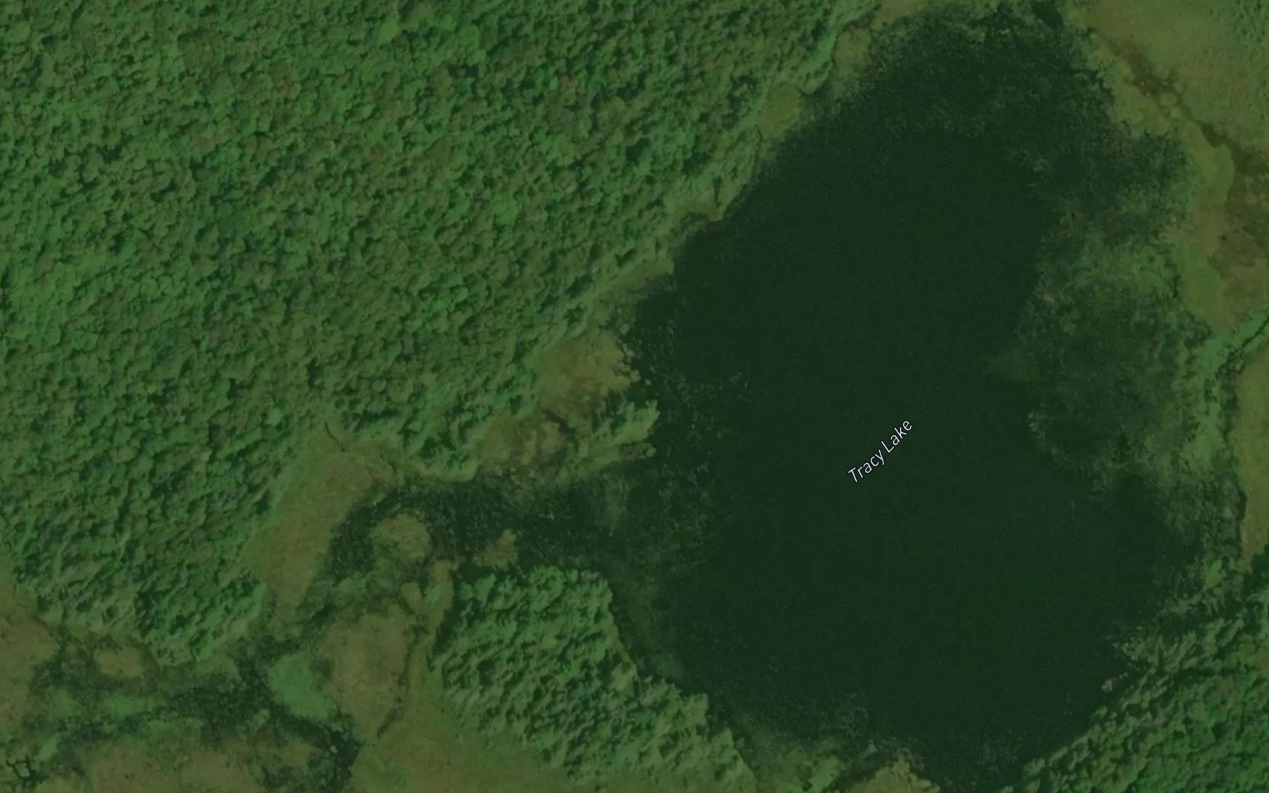 Satellite map of the Tracy Lake