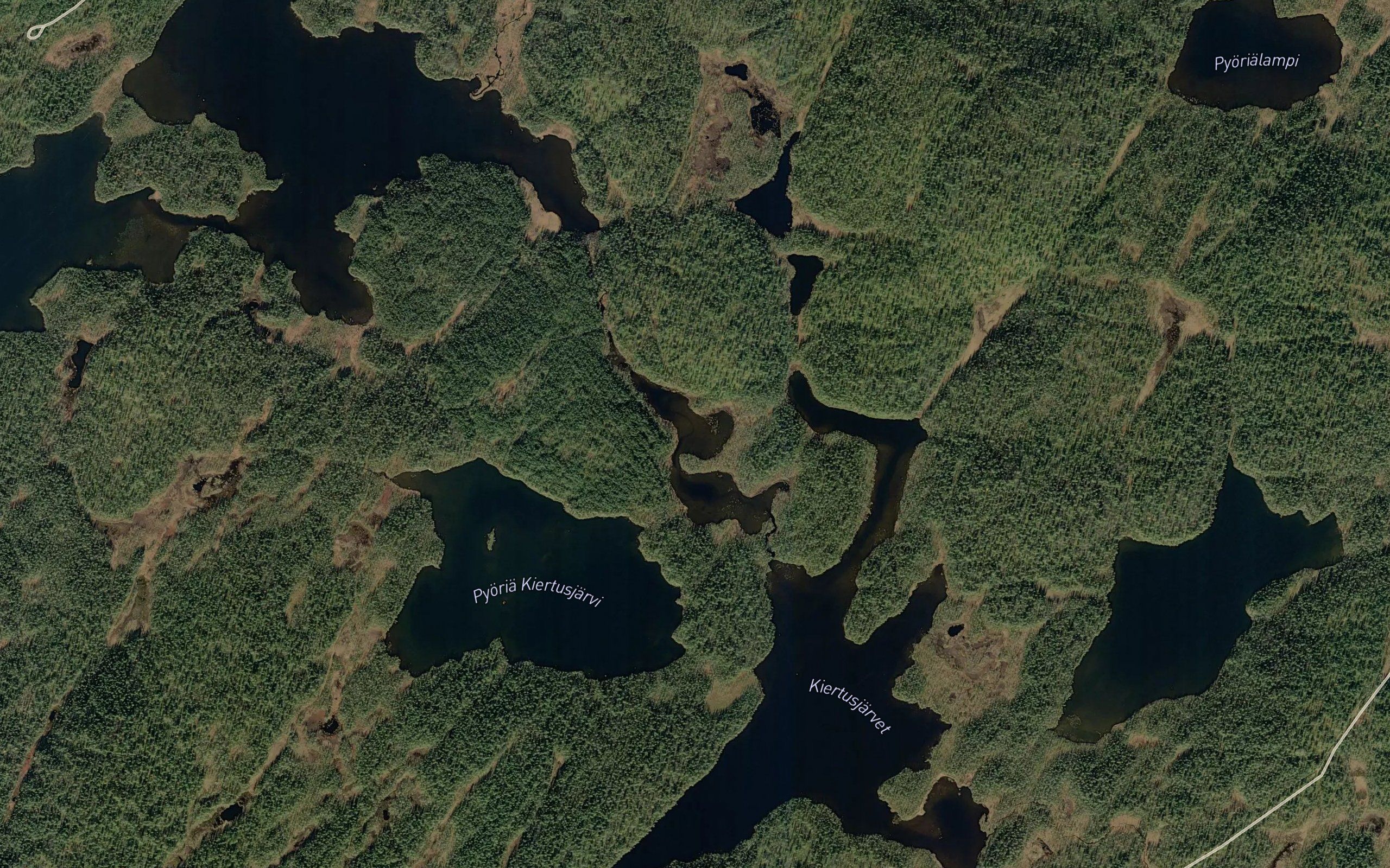 Kiardusluobbalas