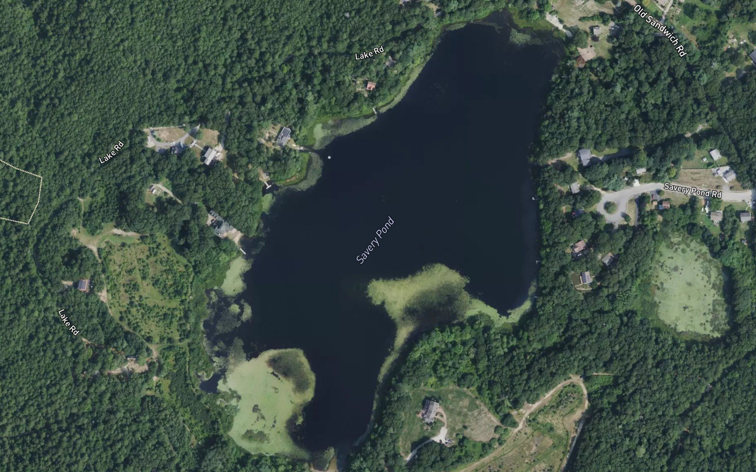 Savery Pond