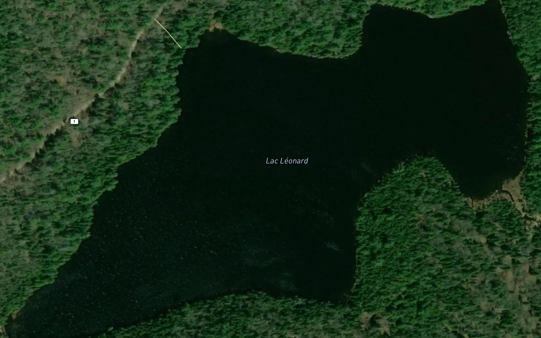 Satellite map of the Lac Leonard