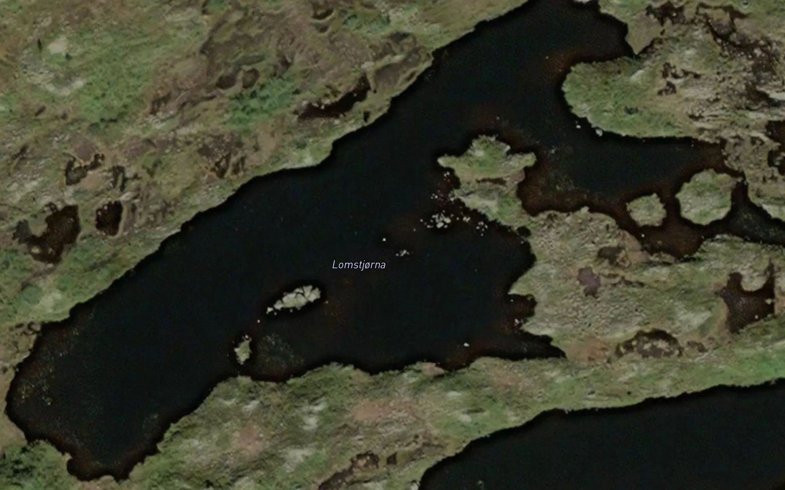 Lomstjorna