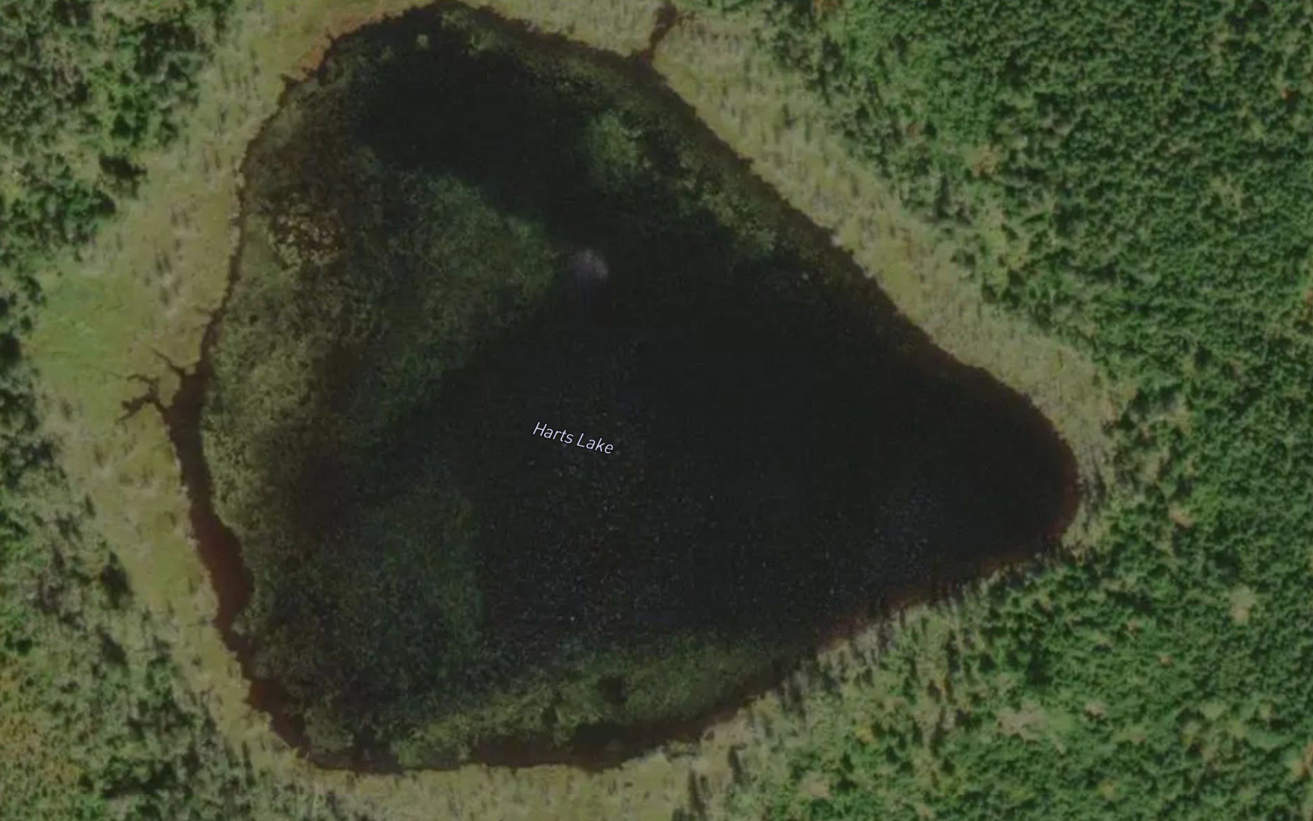 Harts Lake