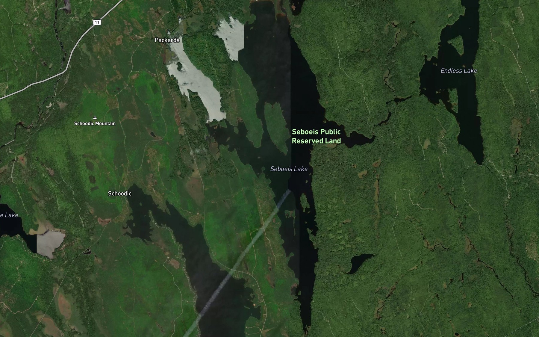 Satellite map of the Seboeis Lake