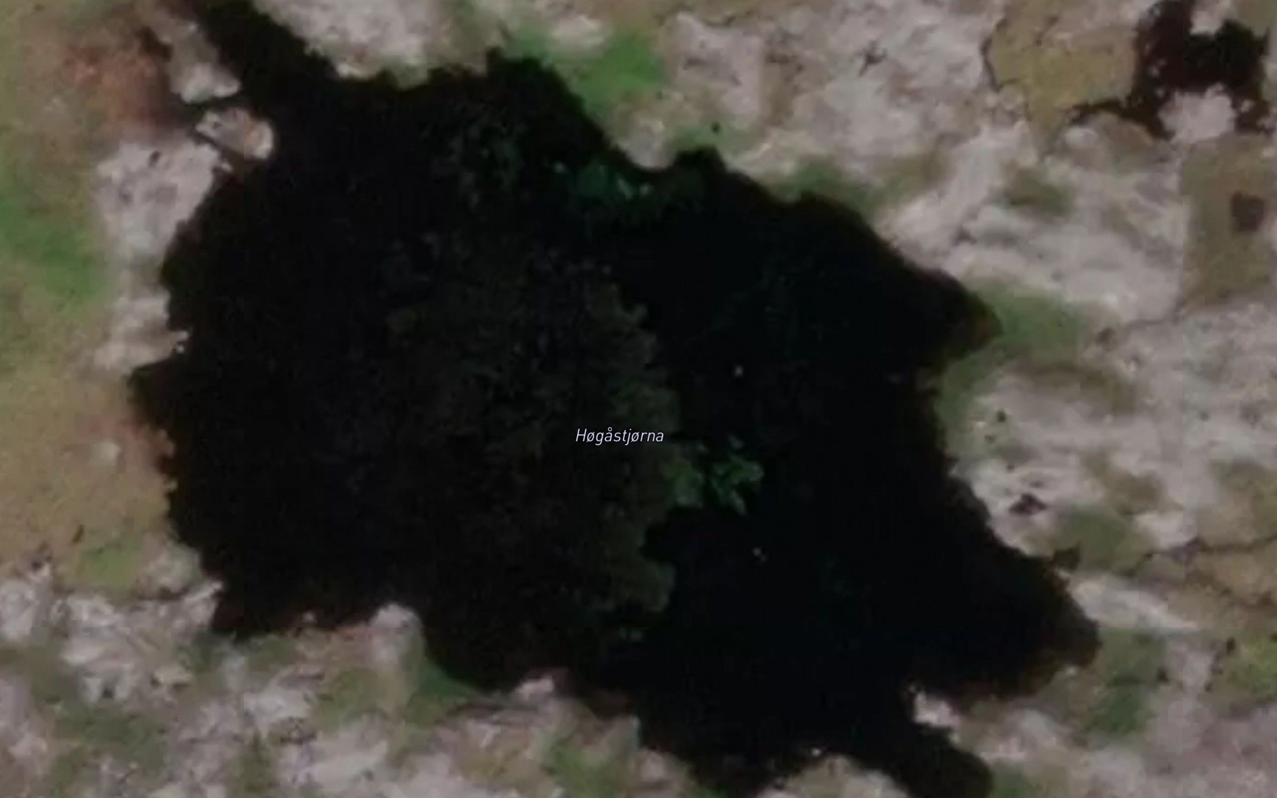 Hogastjorna