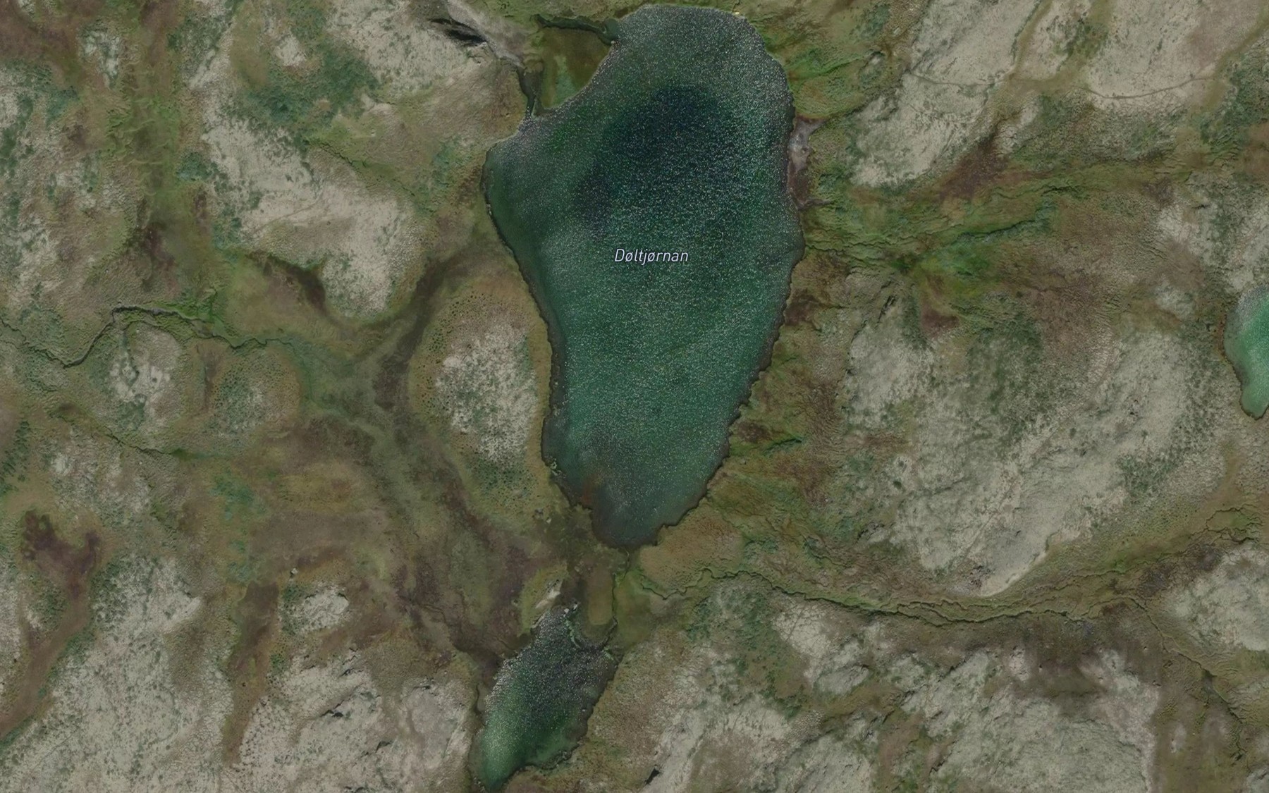 Satellite map of the Doltjornan