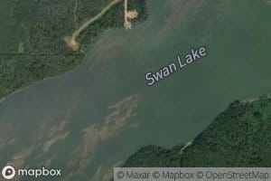 Swan Lake