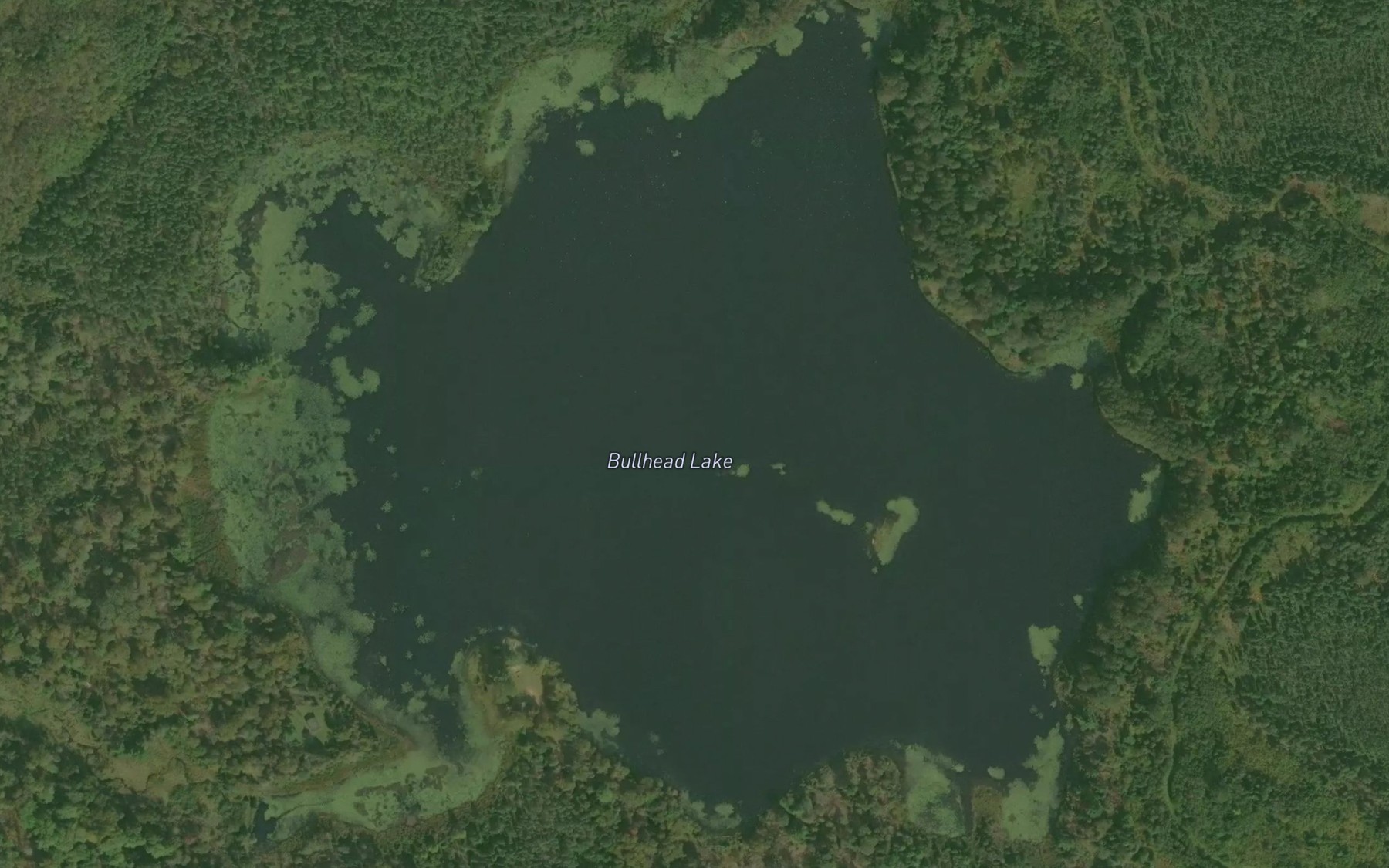 Satellite map of the Bullhead Lake