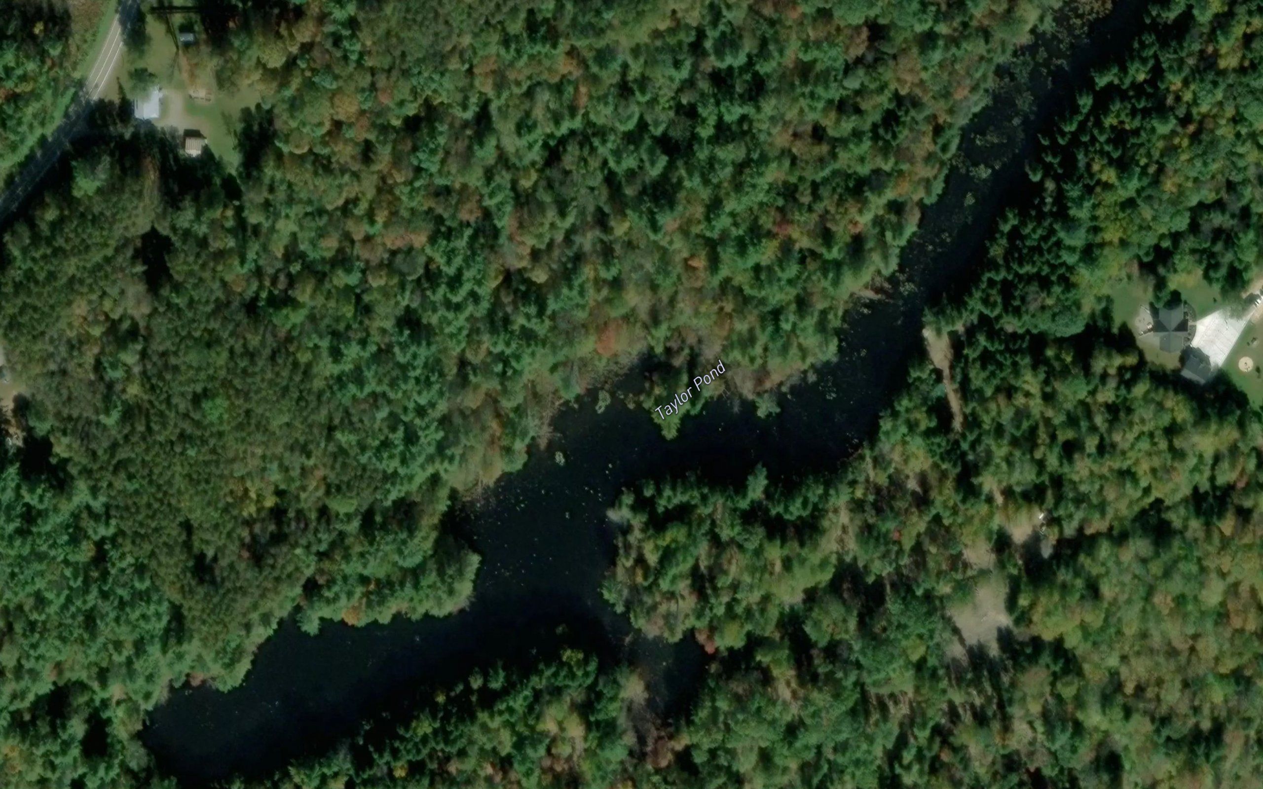 Taylor Pond