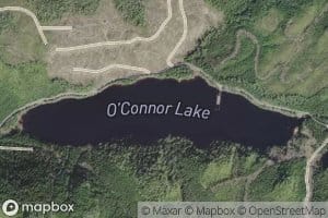 O'Connor Lake