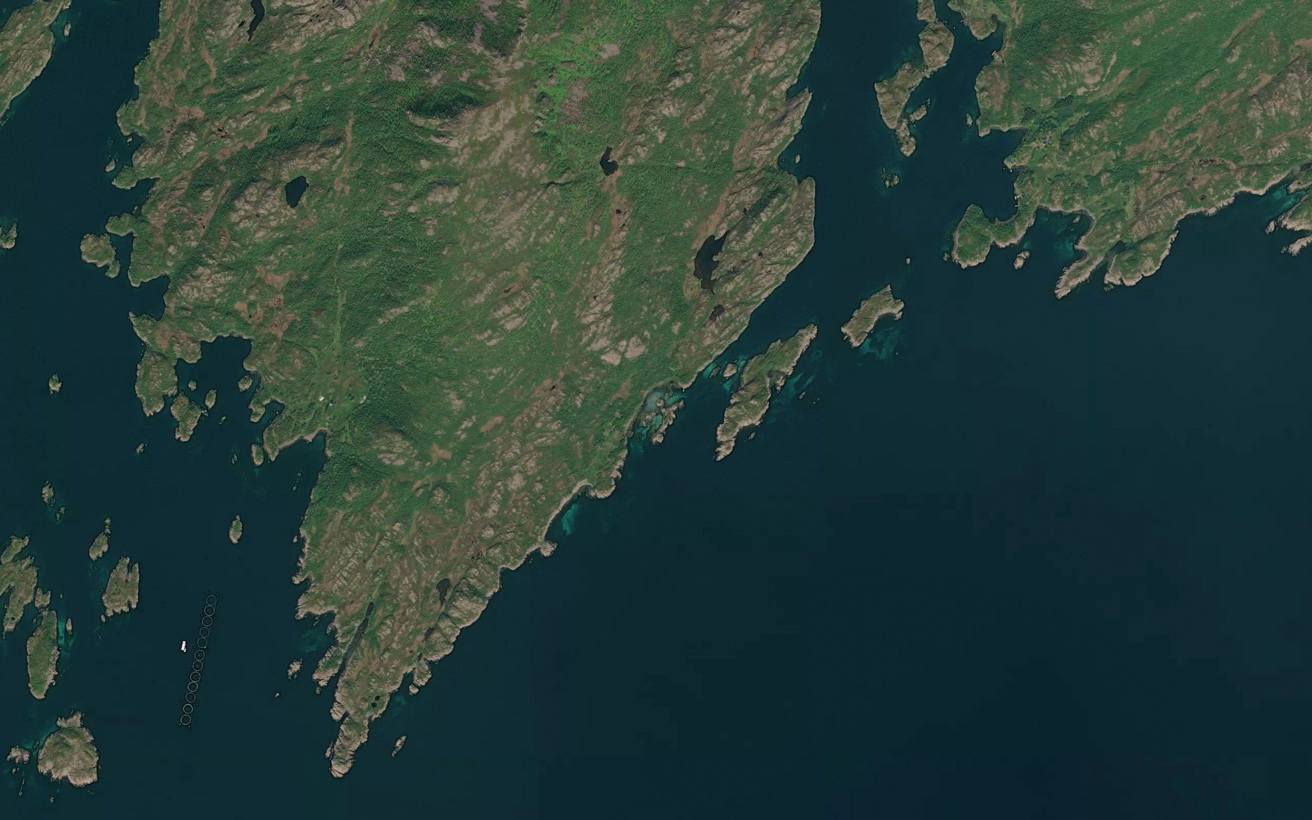 Jakobvika