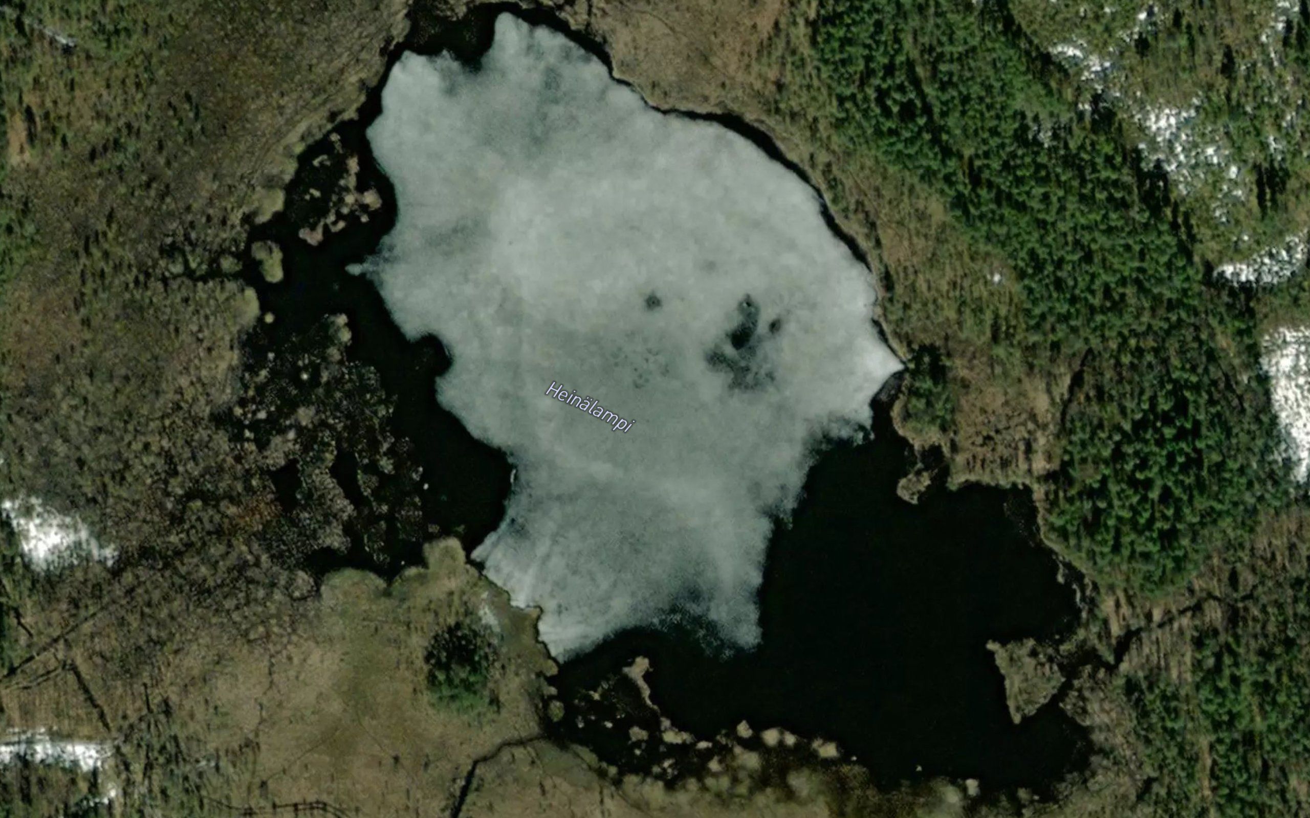 Heinalampi