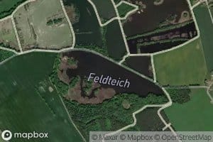 Feldteich