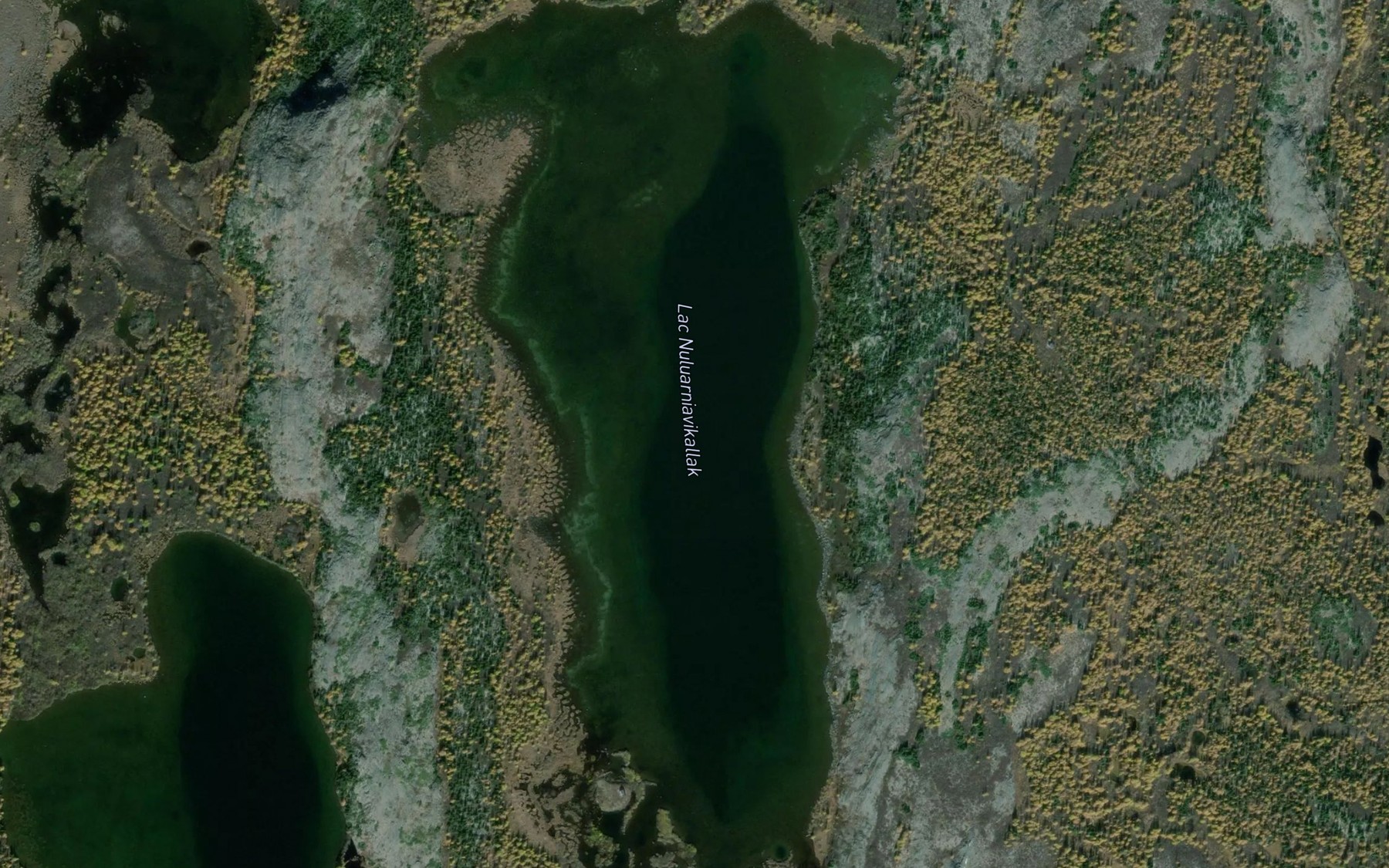 Satellite map of the Lac Nuluarniavikallak