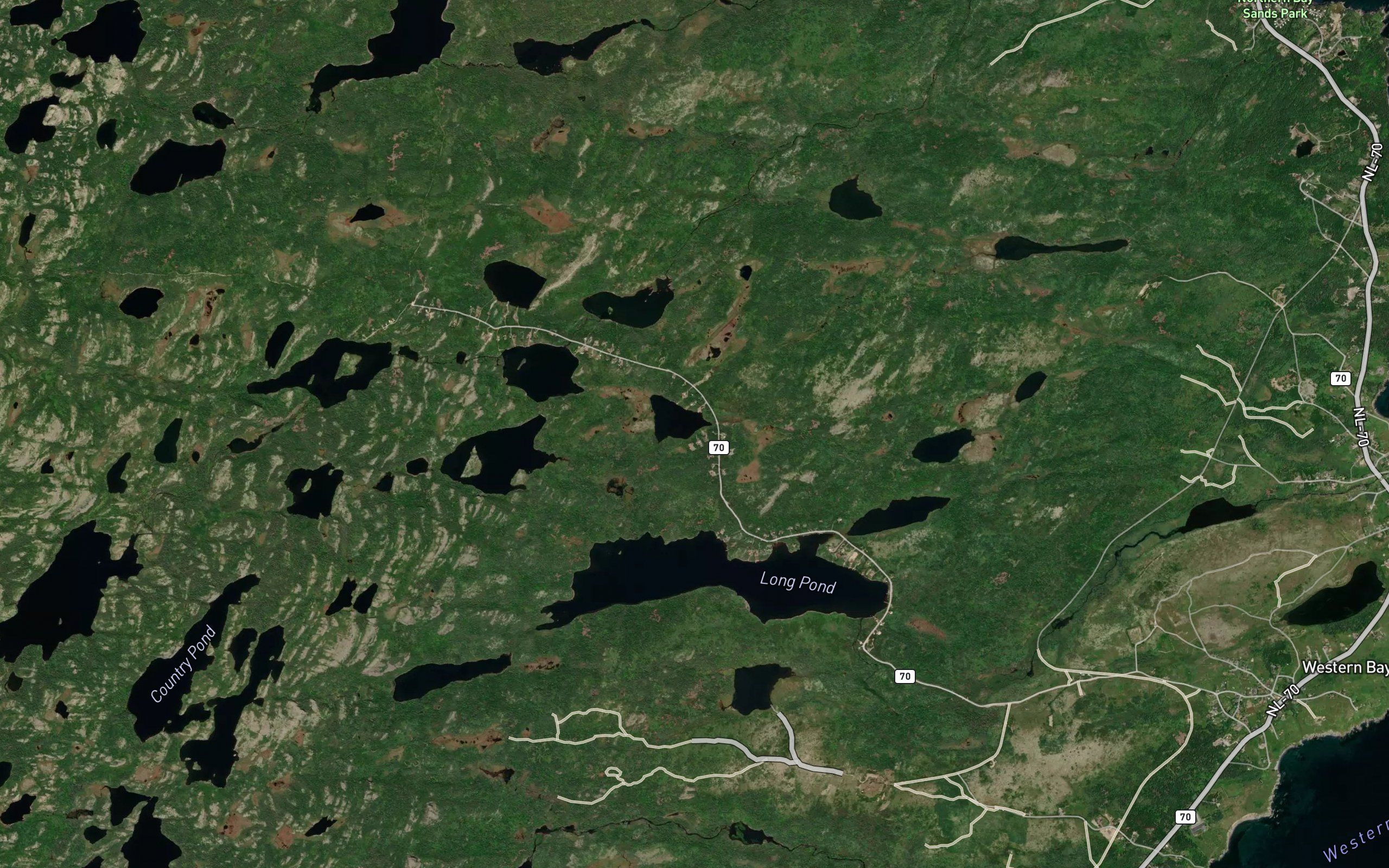 Briens Pond