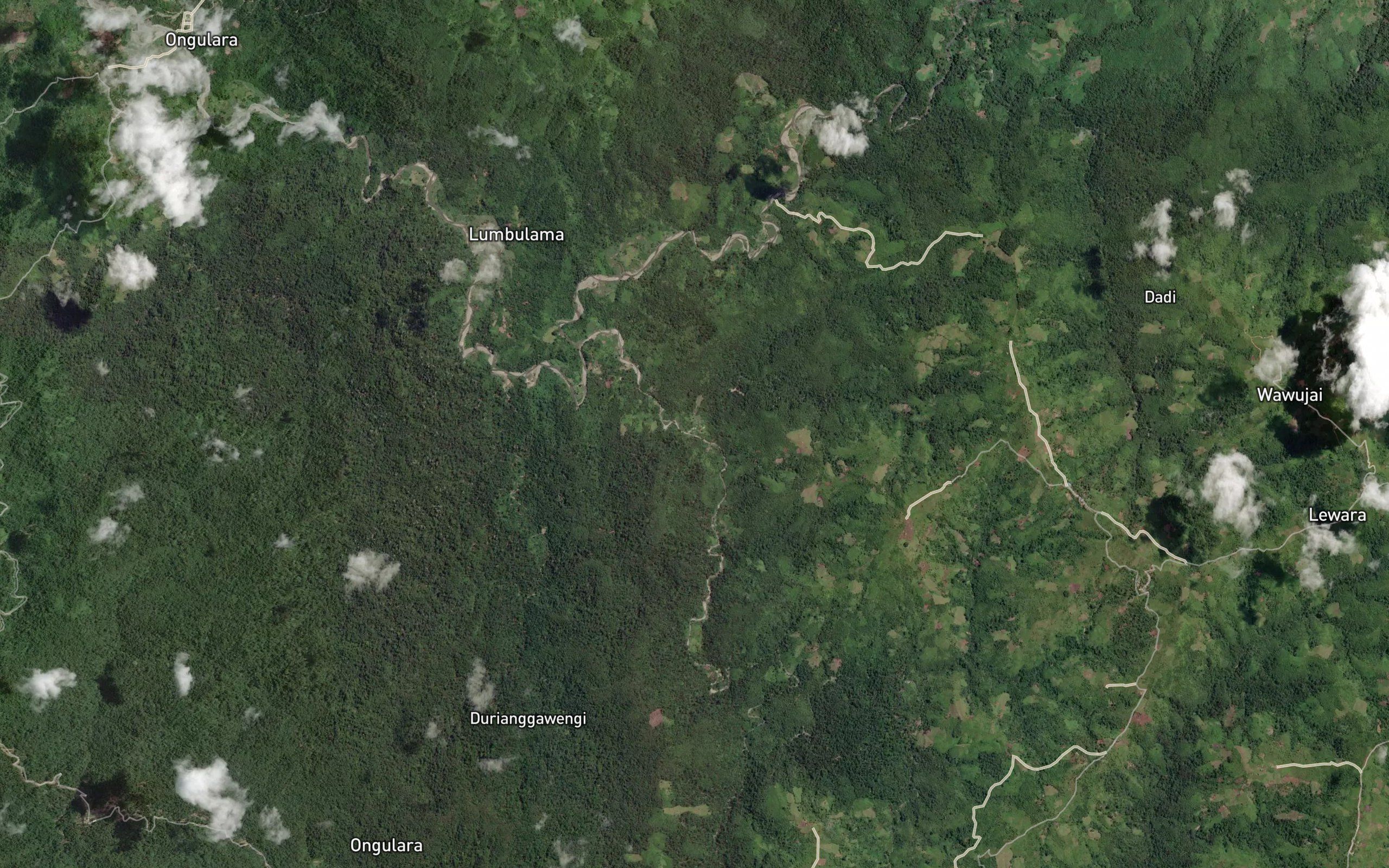 Salu Kainu