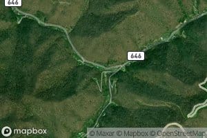 Left Fork Guess Fork