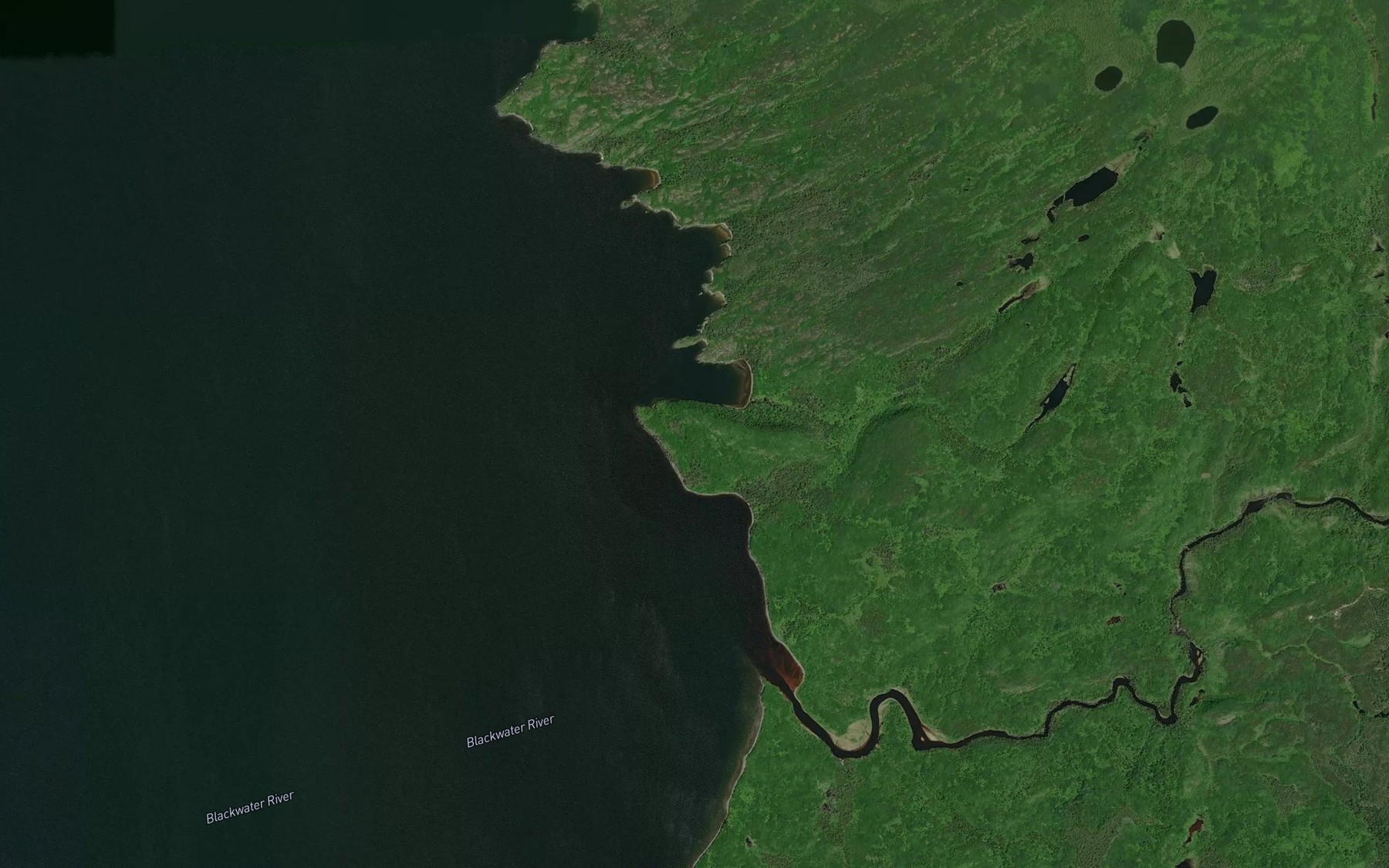Satellite map of the Lion Bay