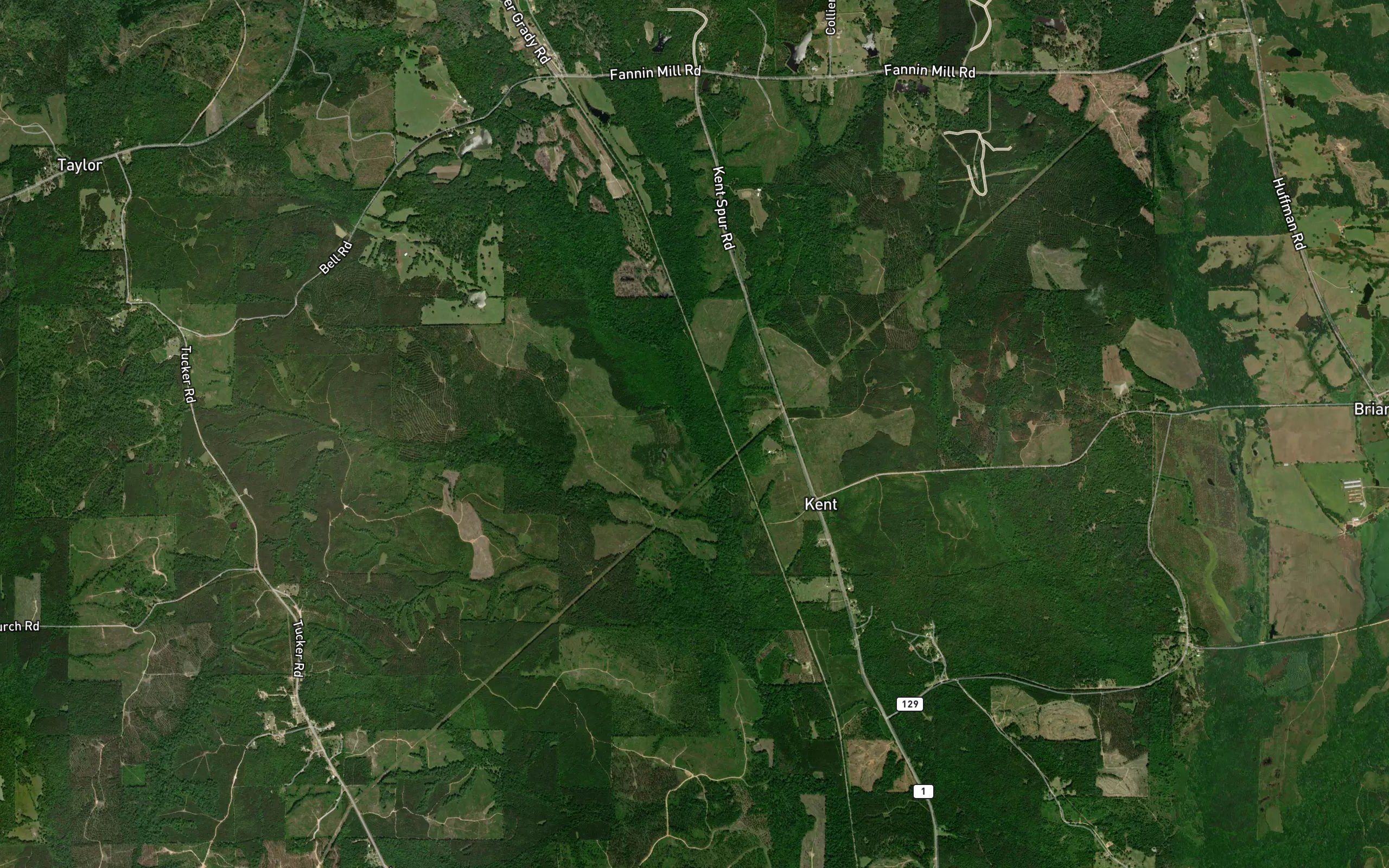Collier Branch