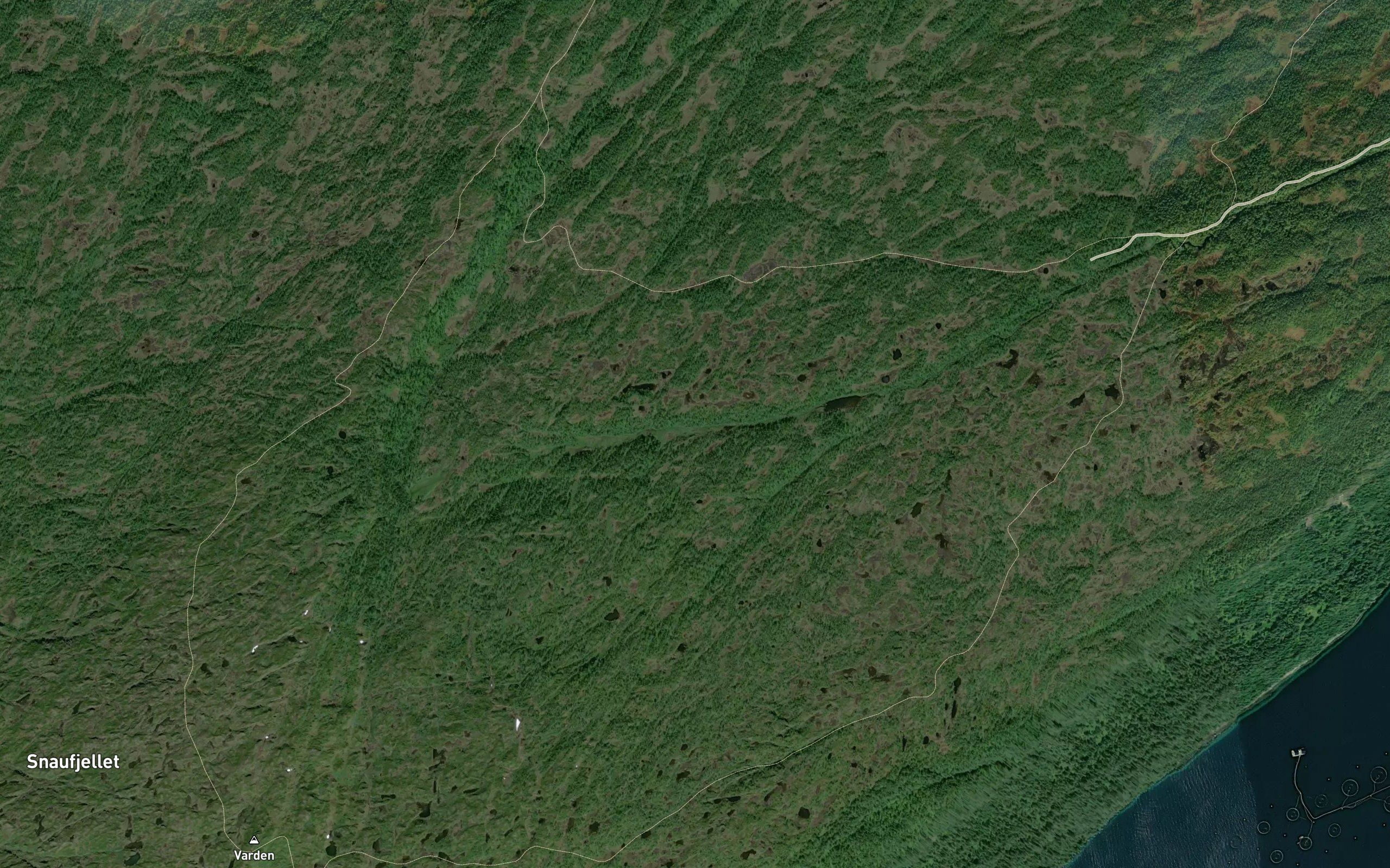 Ytterstorelva