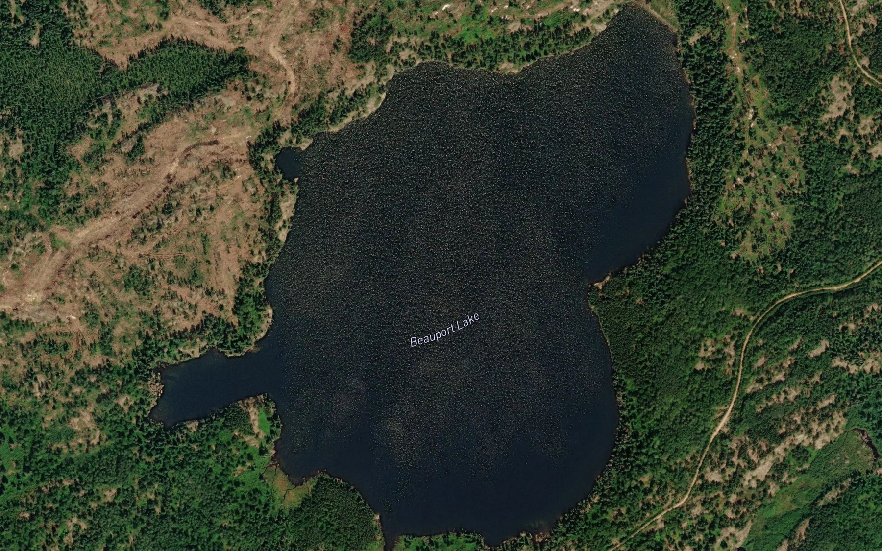 Satellite map of the Beauport Lake