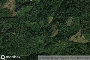 Mosquito Creek