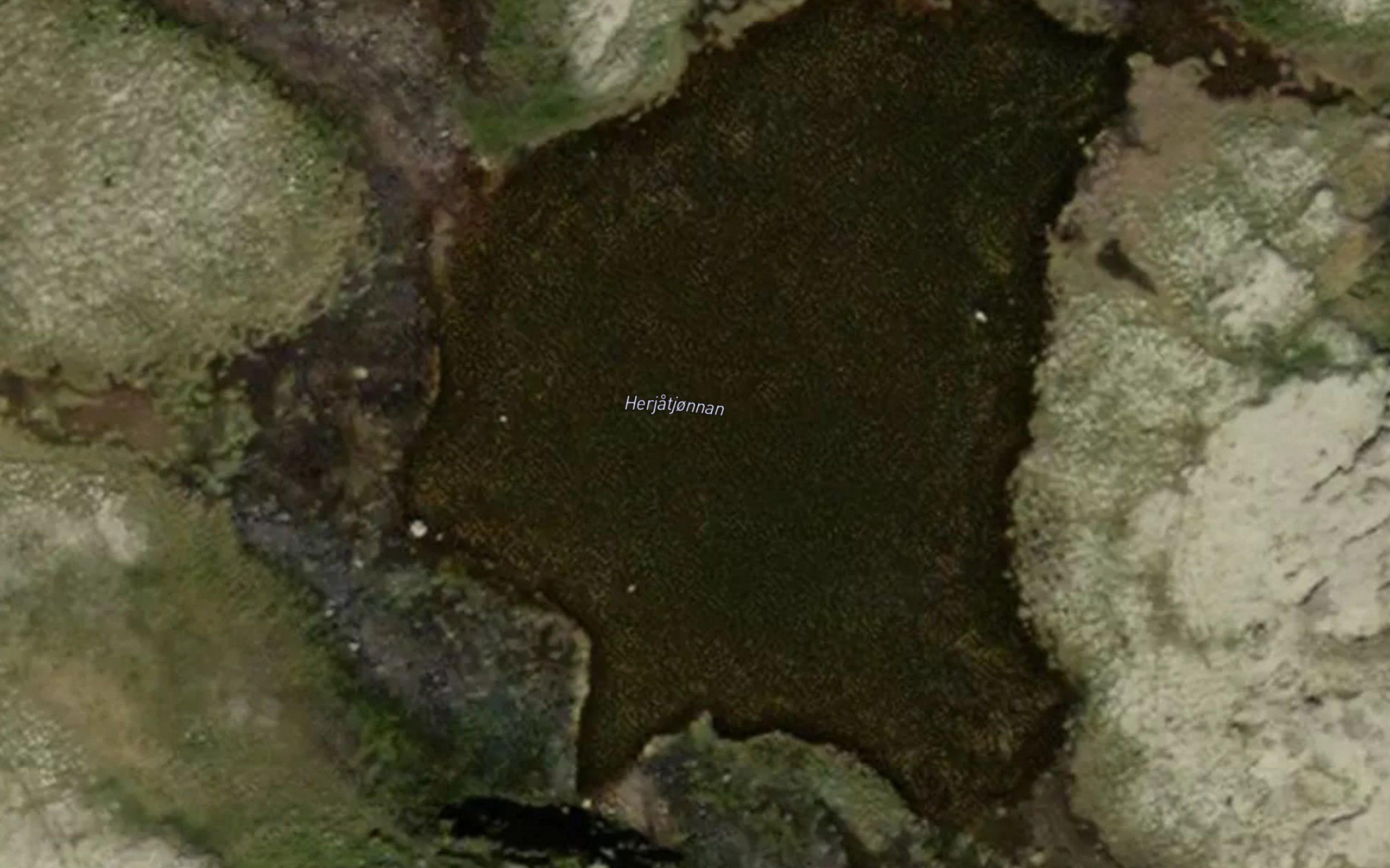 Herjatjonnan