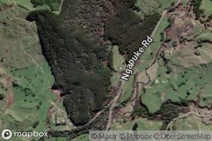 Waiwherowhero Stream