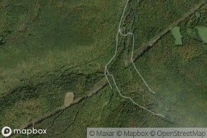 Sidenstricker Branch