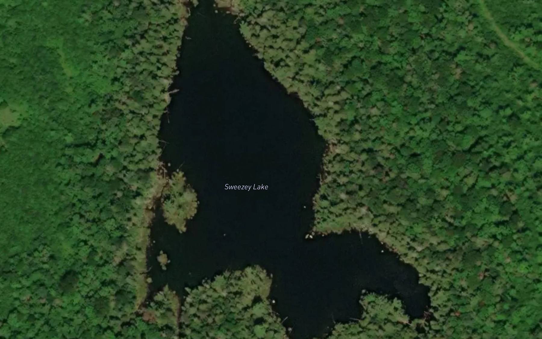 Satellite map of the Sweezey Lake
