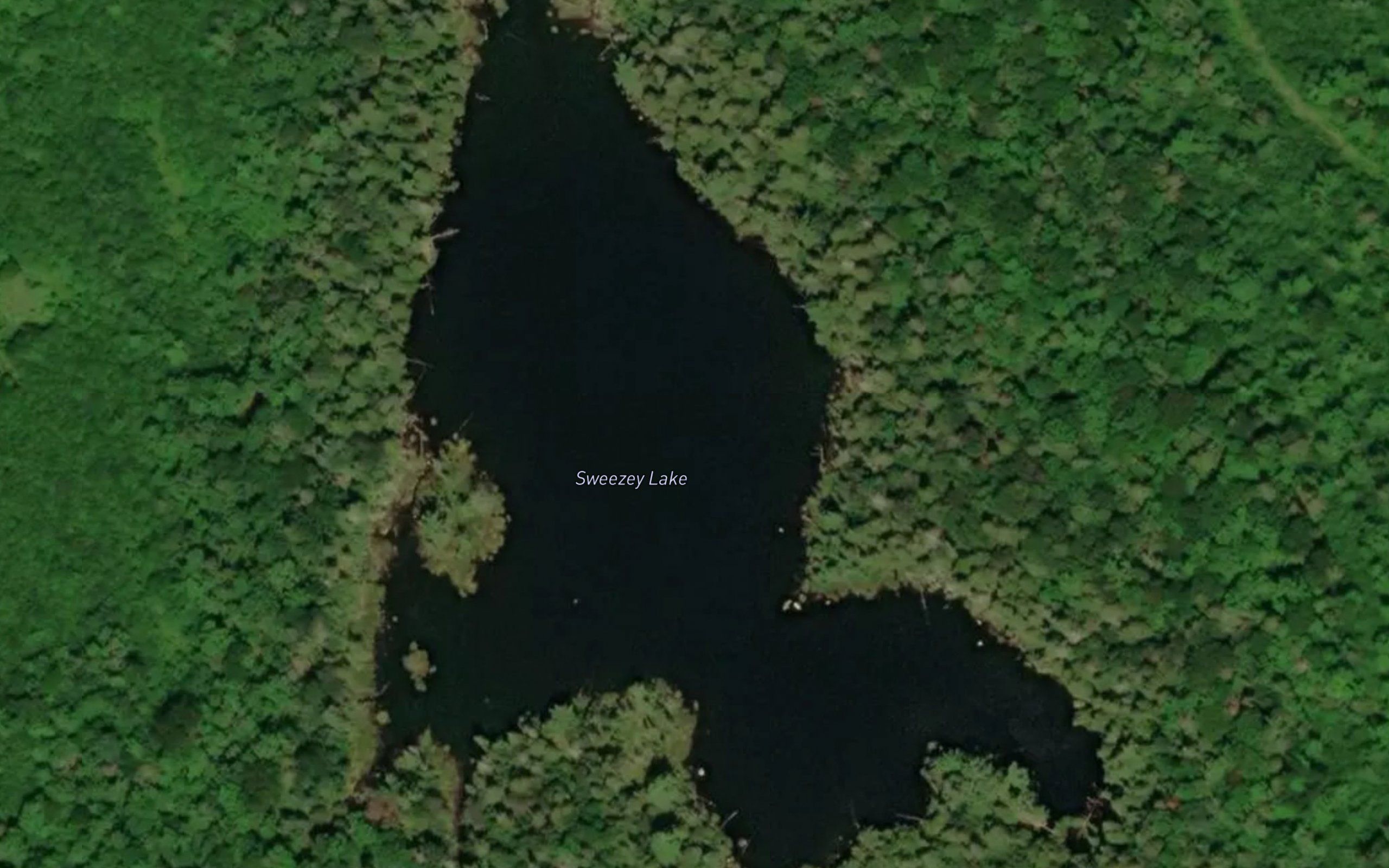Sweezey Lake