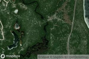 Lac Bacilly