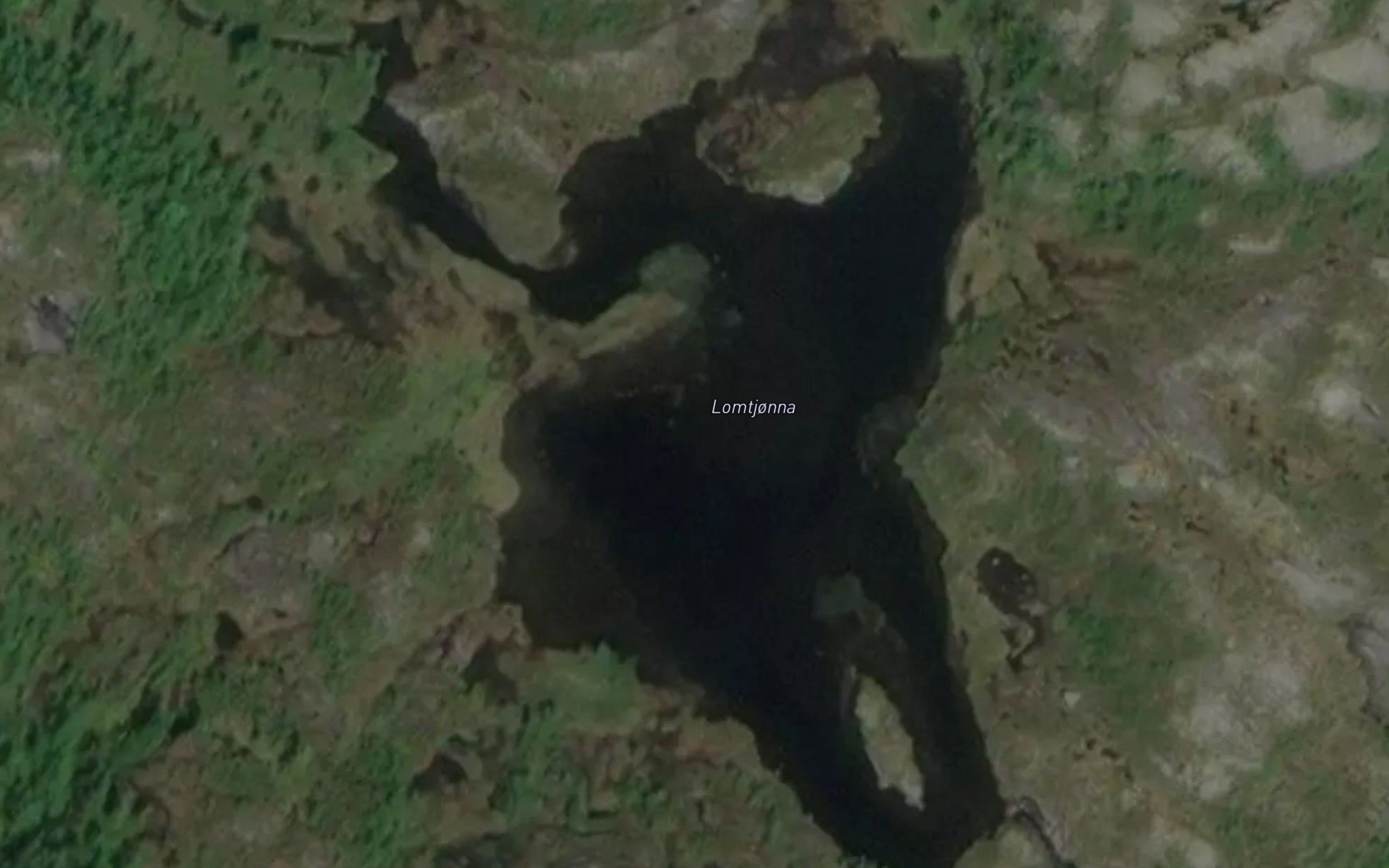 Lomtjorna