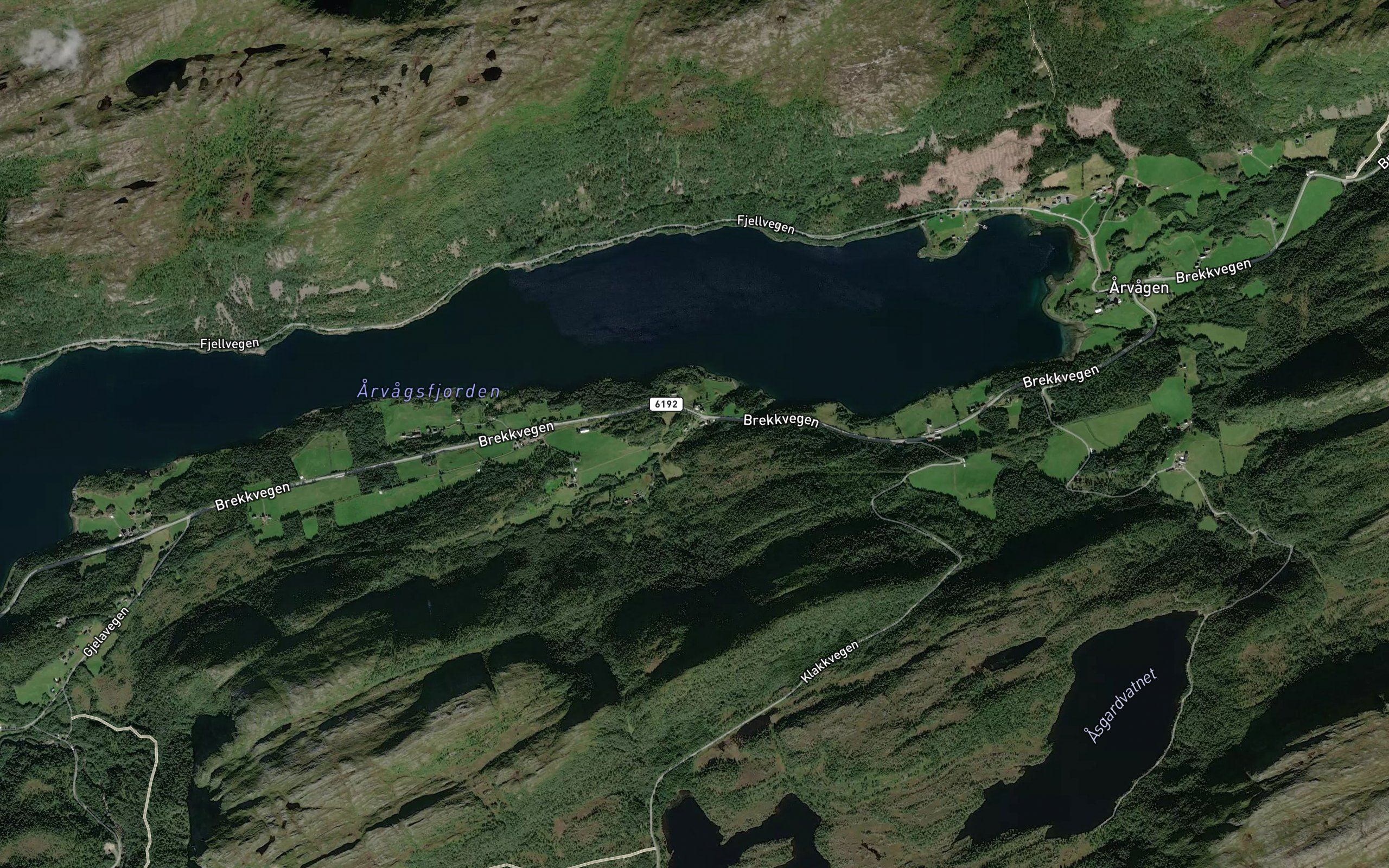 Bakkelva