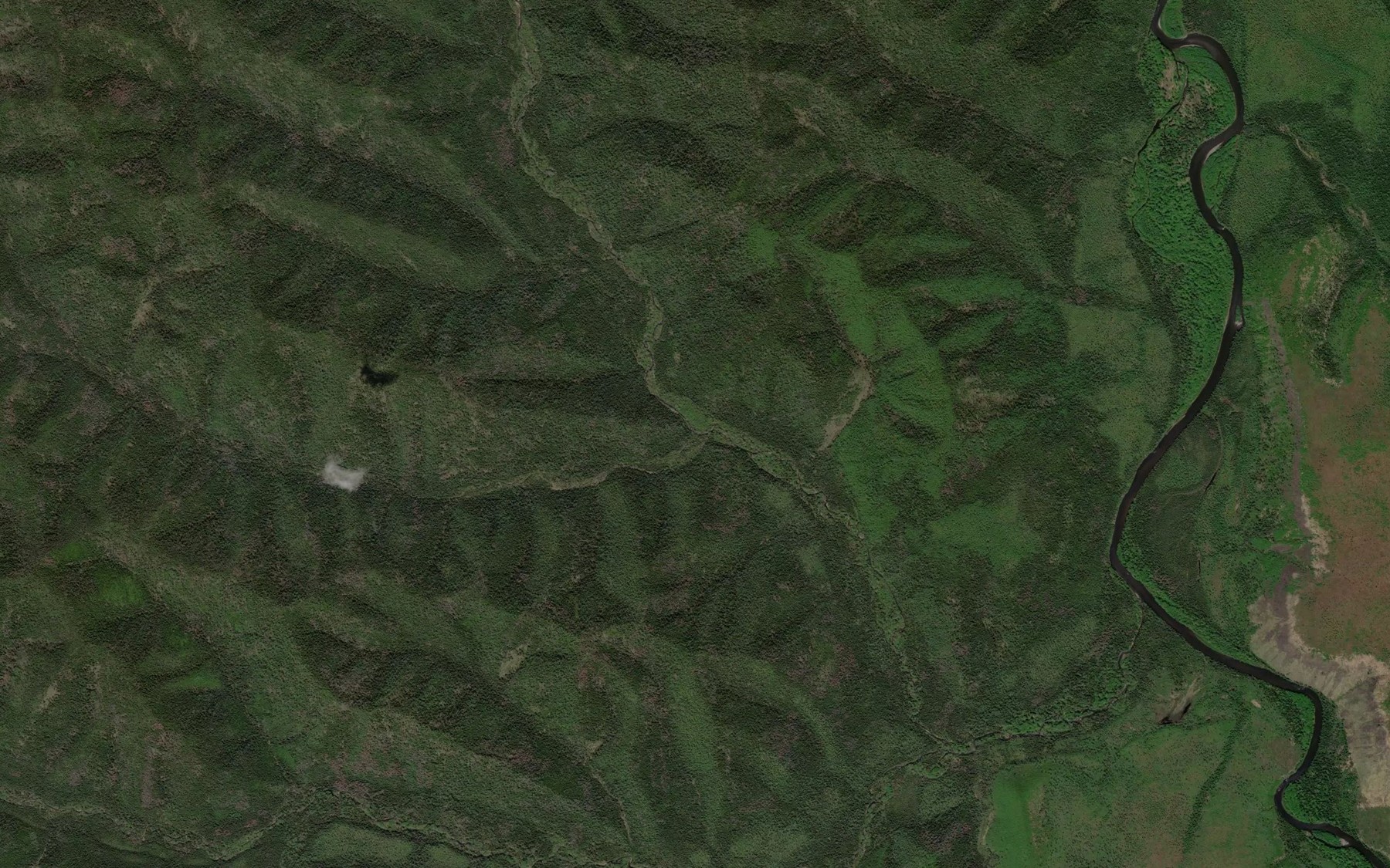 Satellite map of the Kolonkovyy