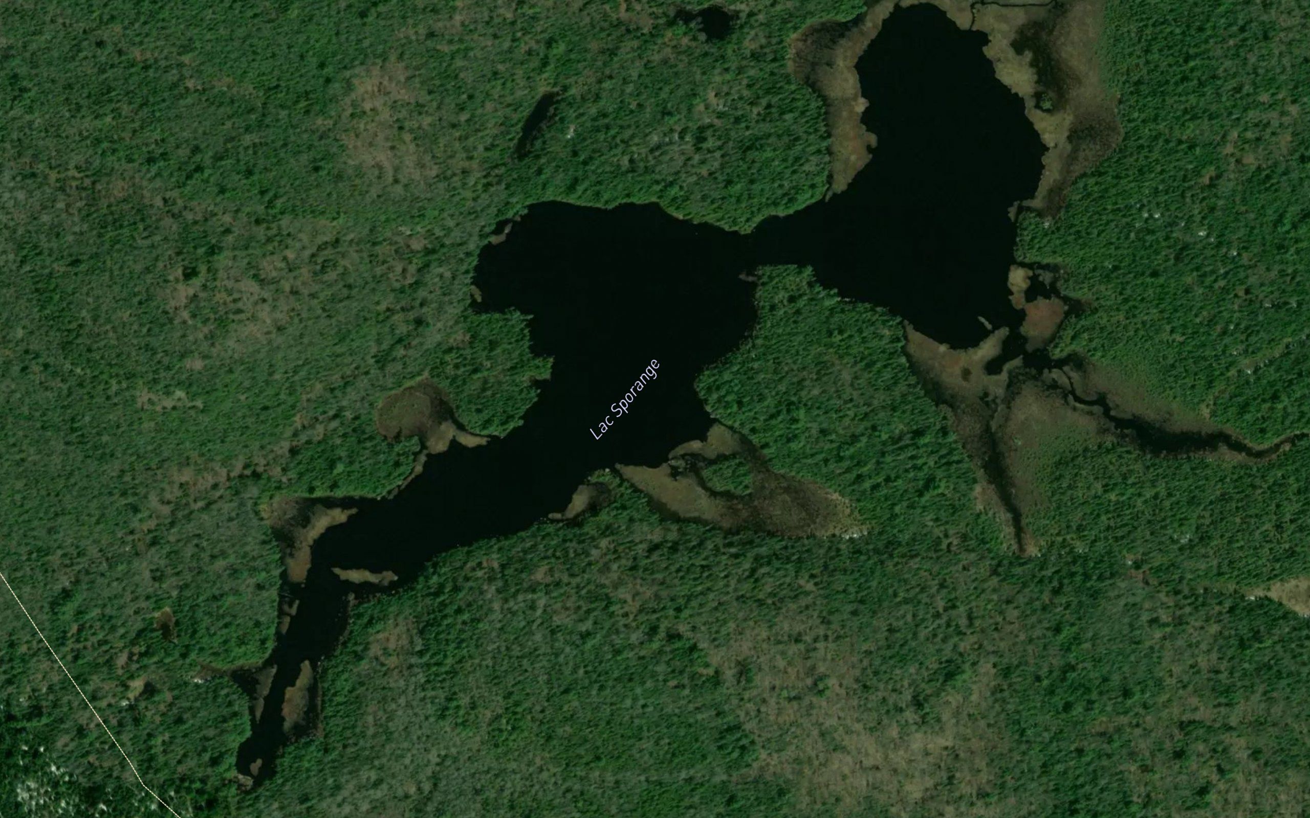 Lac Sporange